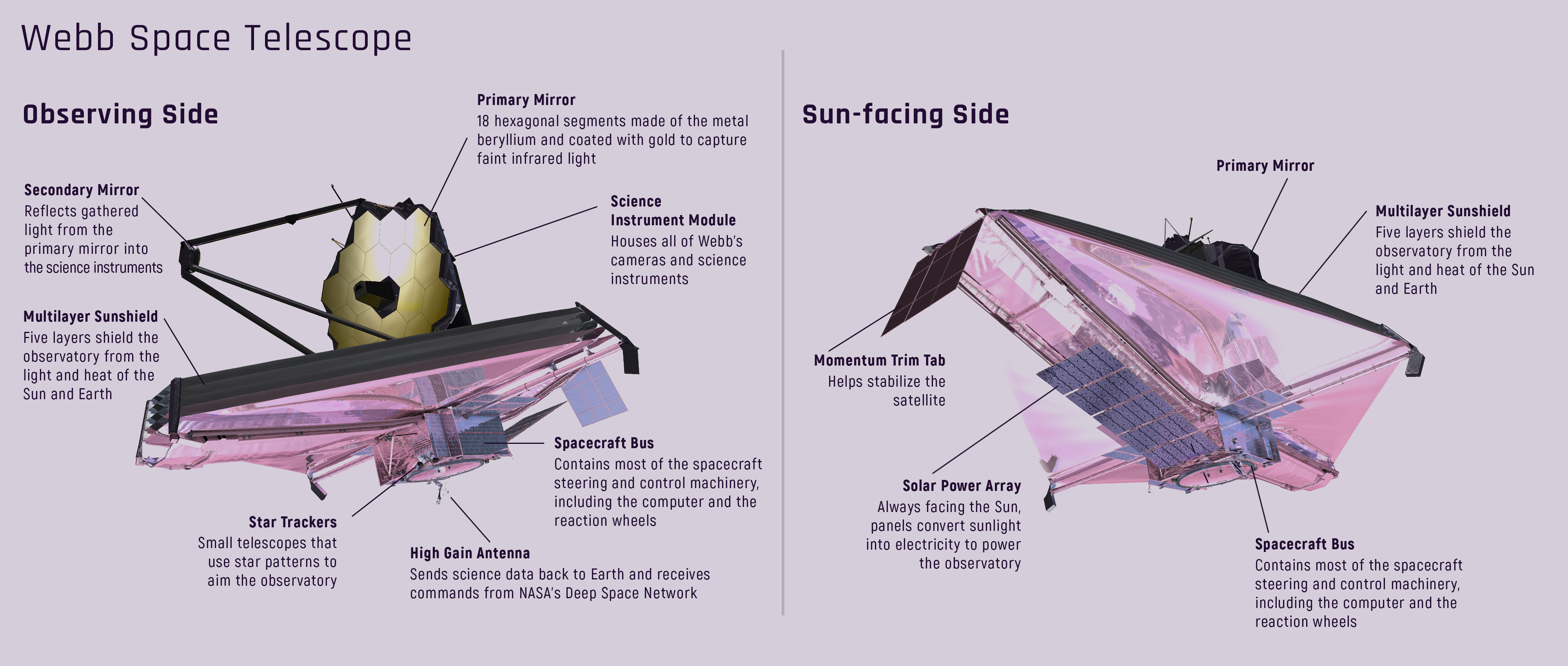 Diagram of the James Webb Space Telescope’s observing side, where its primary mirror, secondary mirror, and science instrument modules reside, and sun-facing side, where its sunshield, momentum trim tab, solar panel array, and spacecraft bus reside.