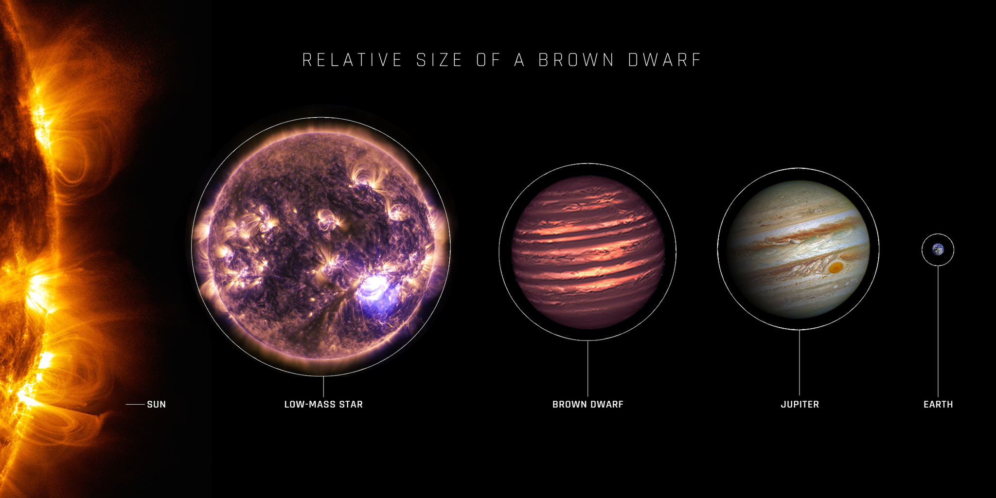 A horizontal graphic titled “Relative Size of a Brown Dwarf.” The illustrations compare the sizes of five celestial objects: the Sun, a low-mass star, a brown dwarf, Jupiter, and Earth.