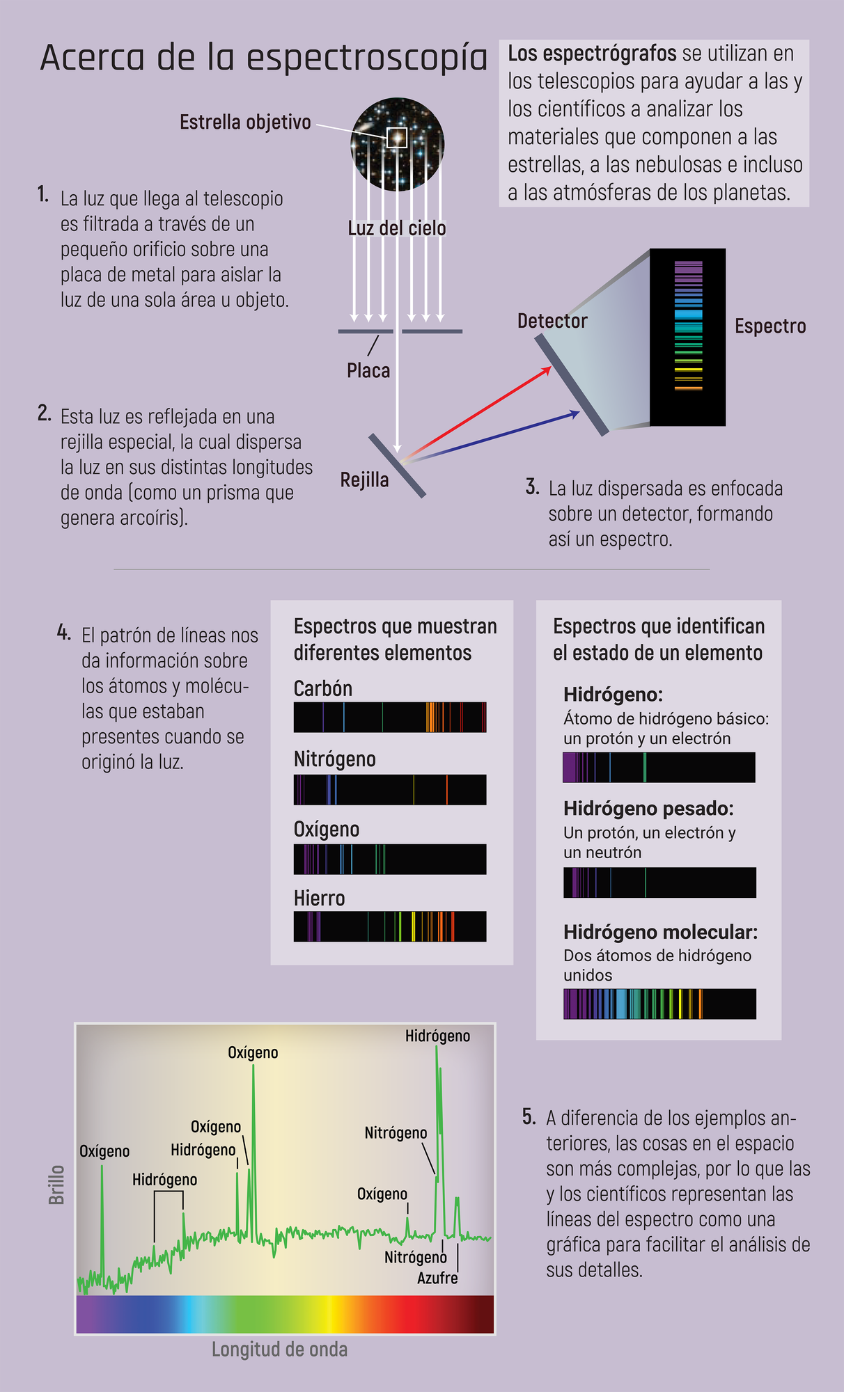 La infografía titulada “Acerca de la espectroscopía” muestra el camino que sigue la luz dentro del telescopio cuando un espectro es capturado.