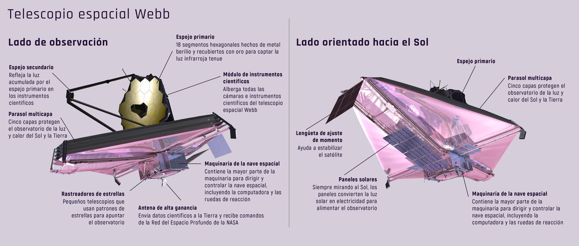 Un gráfico informativo titulado "Telescopio espacial Webb" que muestra un diagrama etiquetado del "Lado de observación" de Webb en donde se muestran los espejos primarios, secundarios, el parasol y los instrumentos científicos.