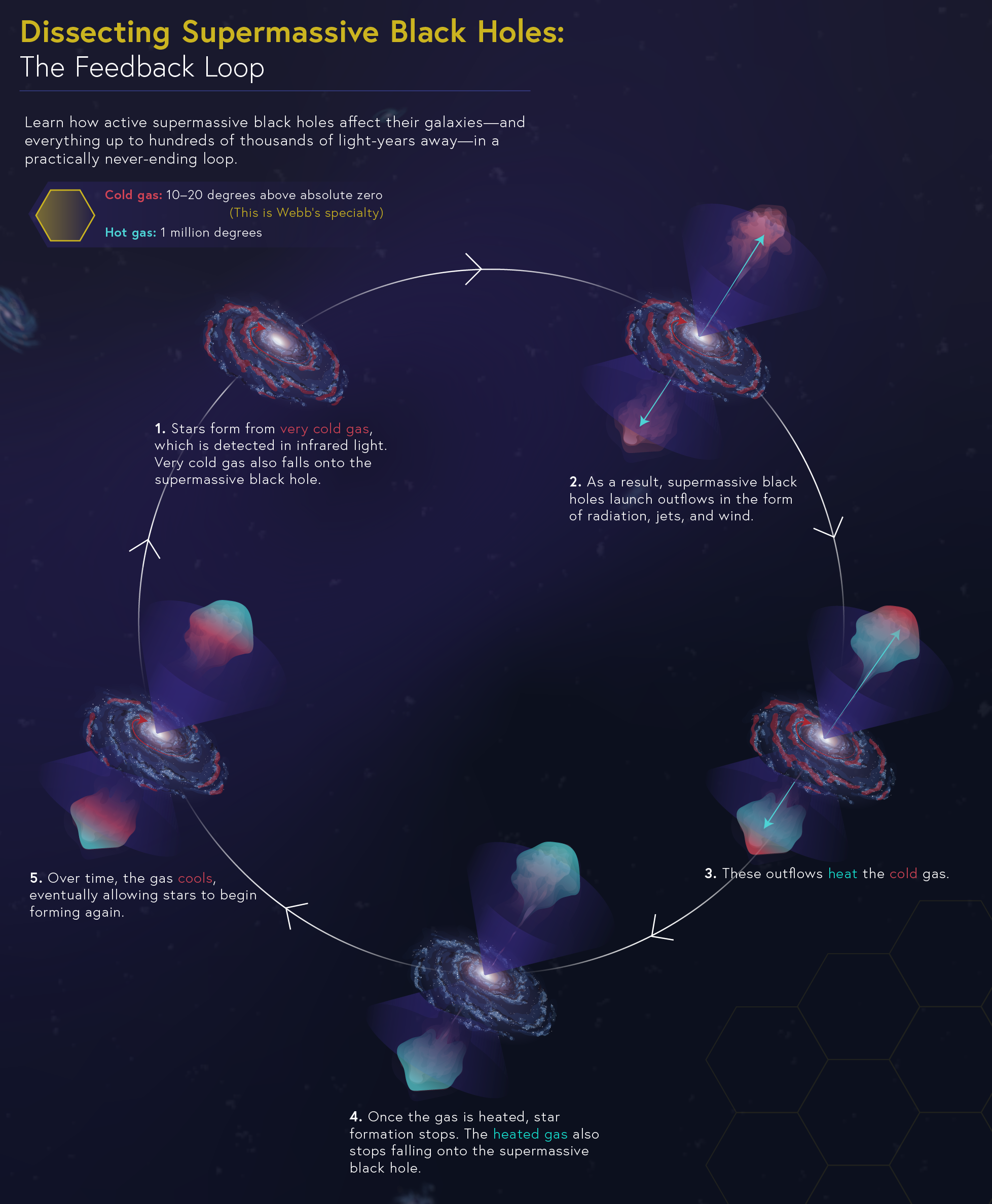 An infographic, "Dissecting Supermassive Black Holes: The Feedback Loop," shows how active supermassive black holes affect their galaxies in five steps.