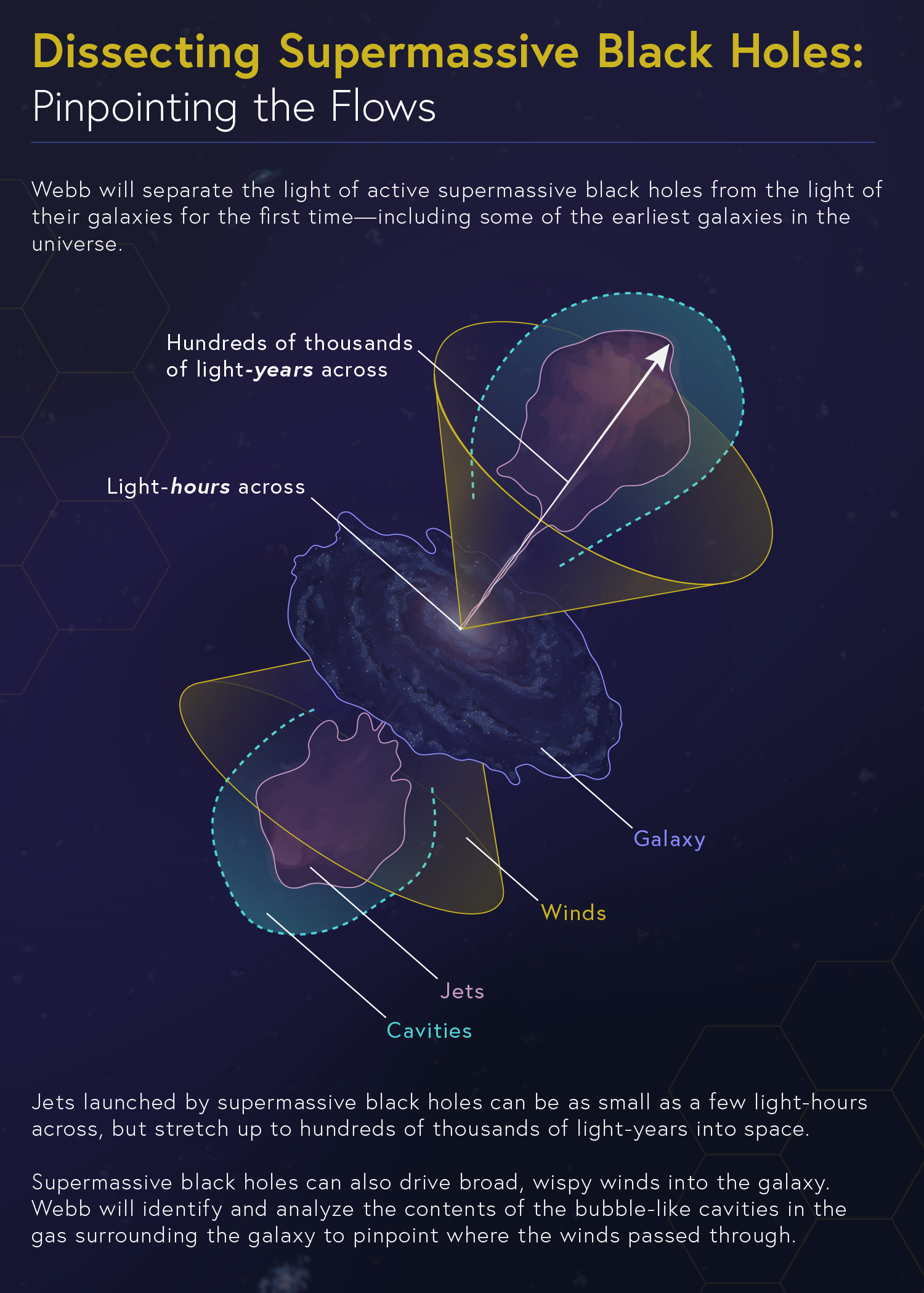 An infographic, “Dissecting Supermassive Black Holes: Pinpointing the Flows,” features a diagram with several labels to separate each element of a galaxy and its active supermassive black hole.