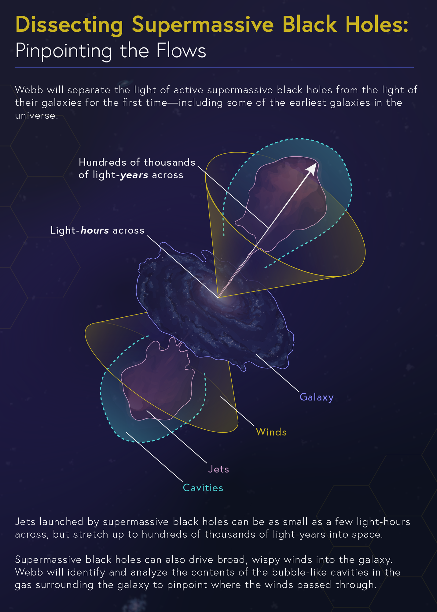 An infographic, “Dissecting Supermassive Black Holes: Pinpointing the Flows,” features a diagram with several labels to separate each element of a galaxy and its active supermassive black hole.