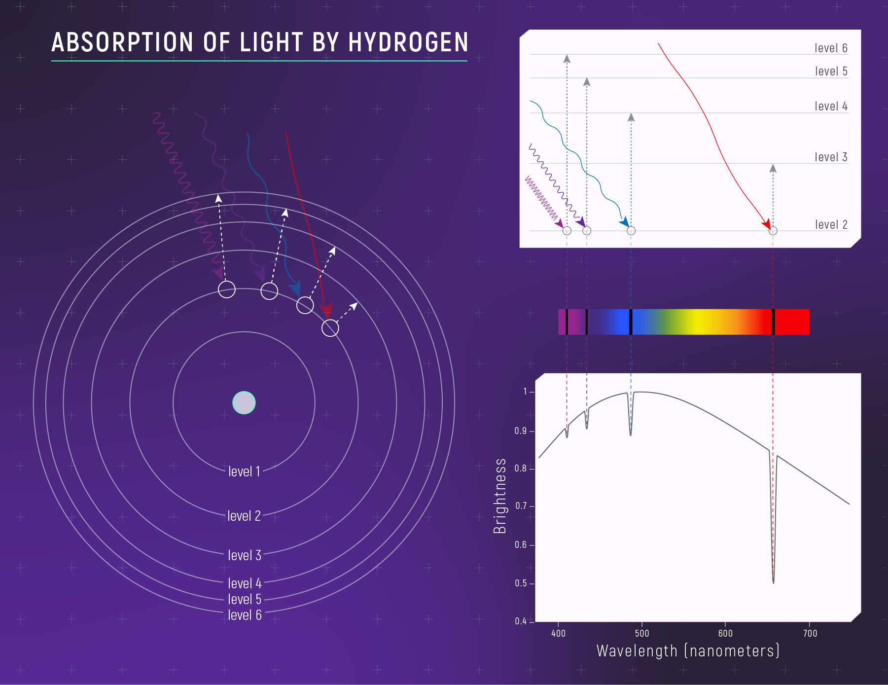 Hydrogen absorption lines line up with electron jumps between energy levels, producing dark lines at specific wavelengths in a spectrum. This visual supports NASA’s 2025 explanation of why spectral lines act like element fingerprints. Credit: NASA, ESA, CSA, Leah Hustak (STScI). Source: NASA image archive for absorption of light by hydrogen (NASA, 2025b).