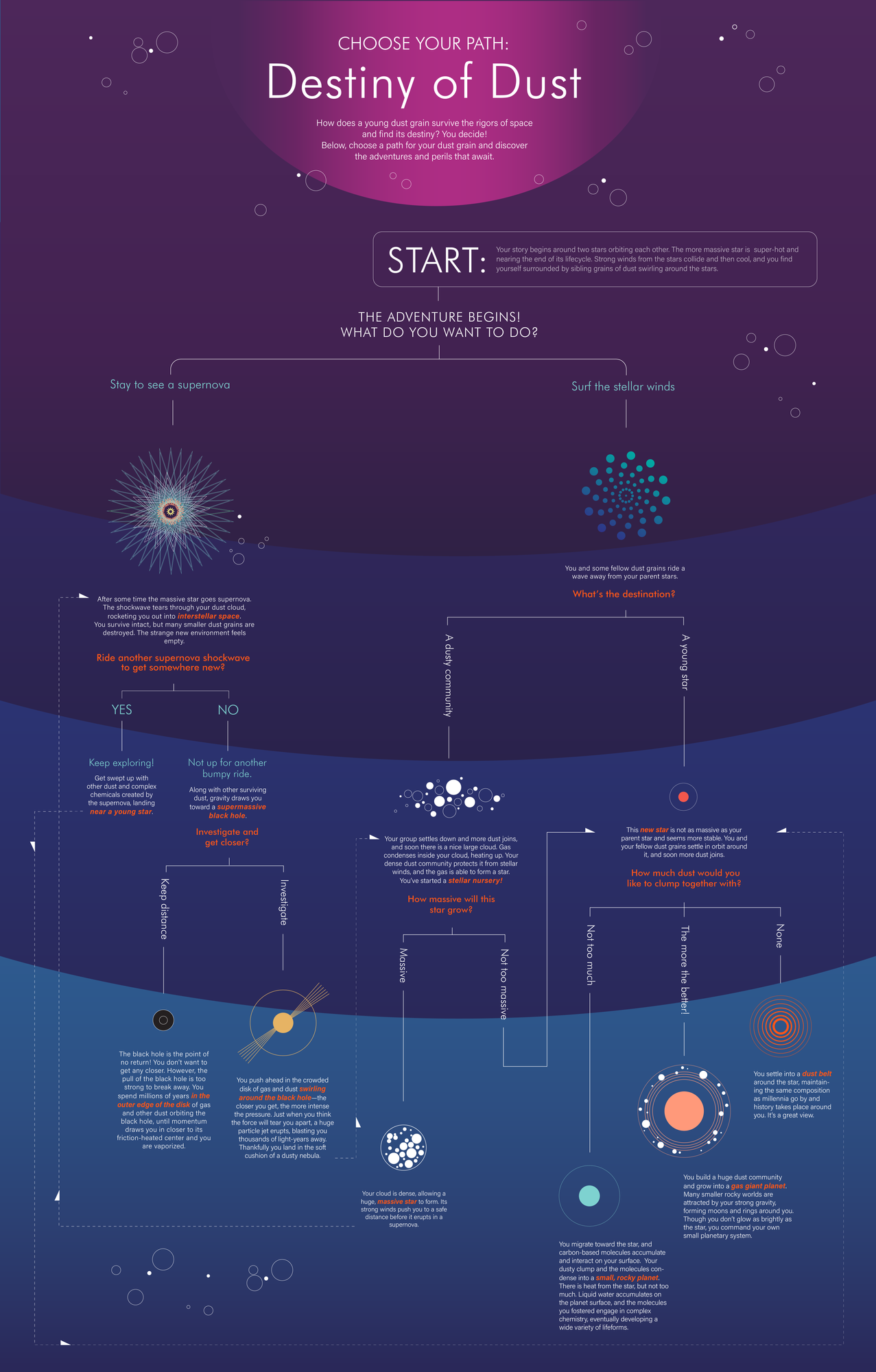 Various potential outcomes for a grain of cosmic dust