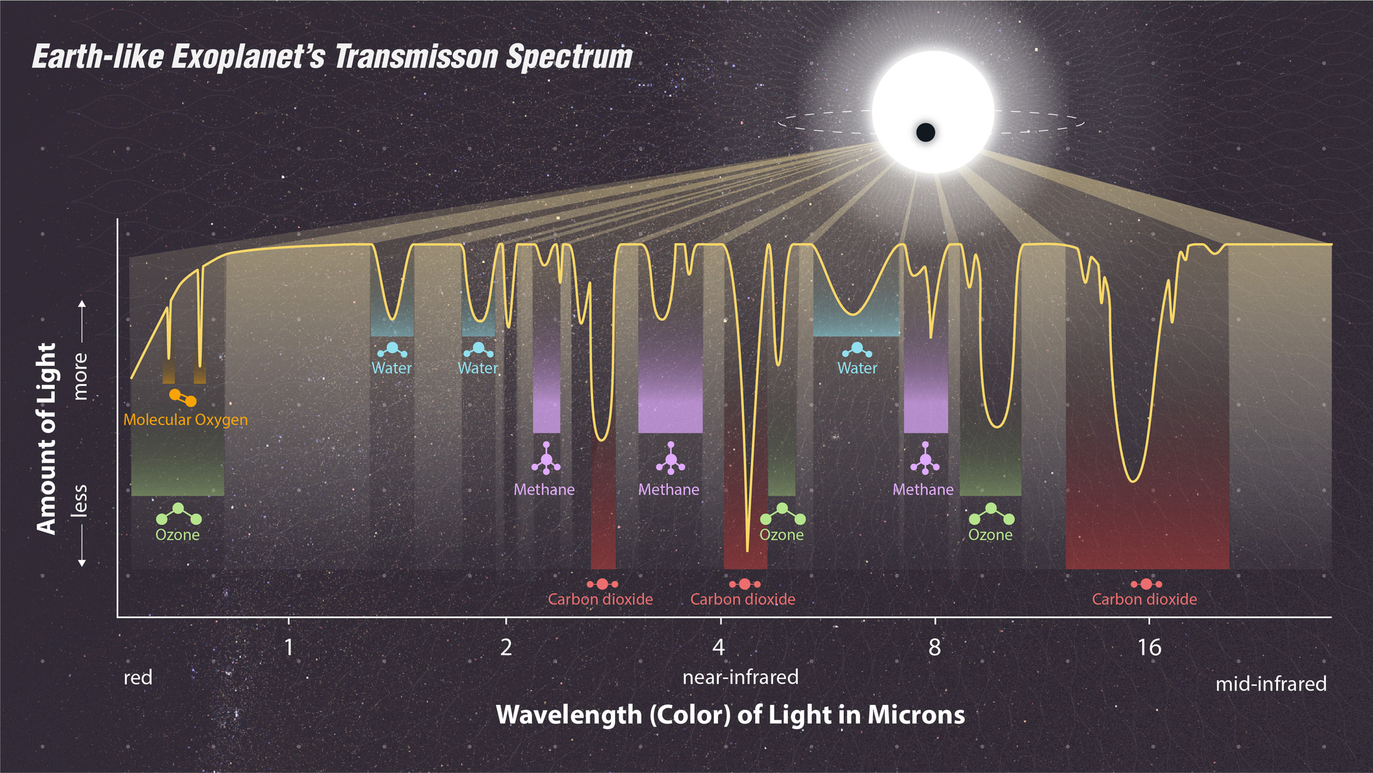 Line graph of brightness vs. wavelength of light, showing various dips in brightness. Dips labeled with names of molecules.