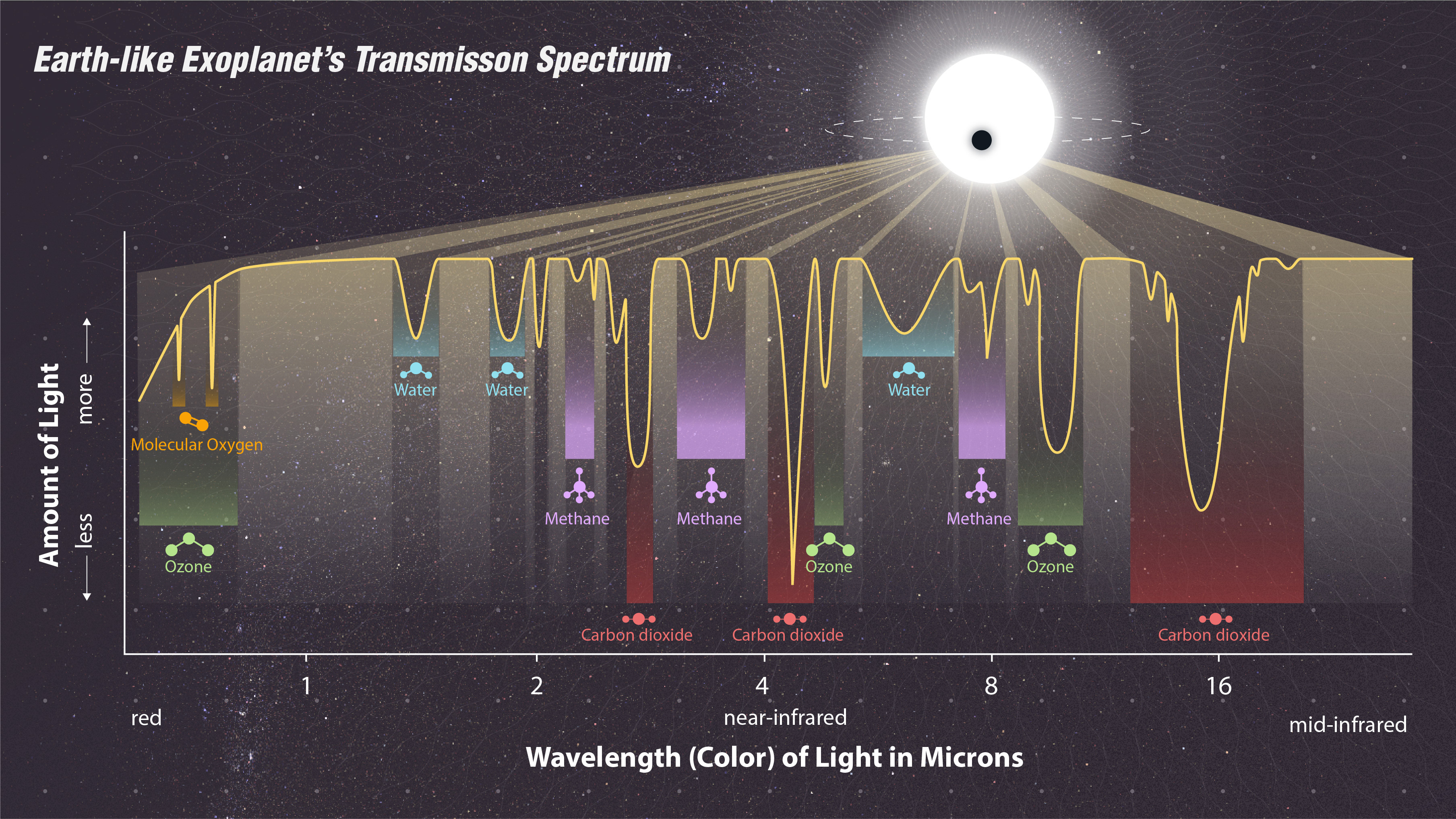 Line graph of brightness vs. wavelength of light, showing various dips in brightness. Dips labeled with names of molecules.