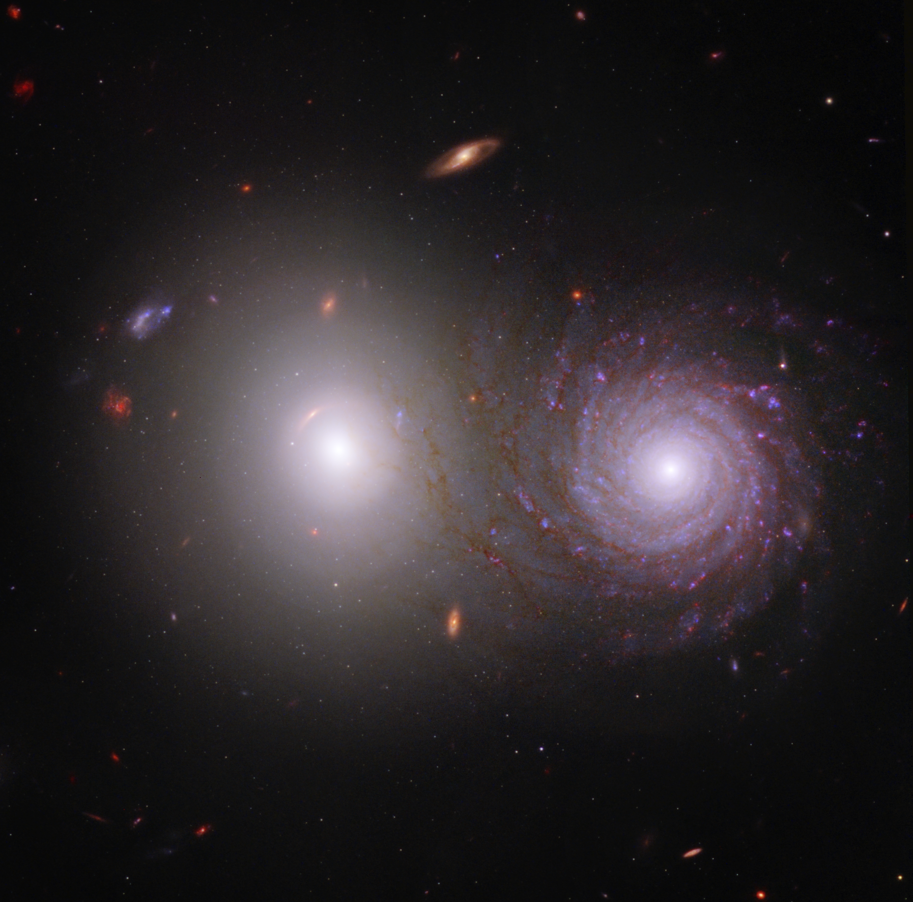 Two large, very bright galaxies dominate the center of the image. The elliptical galaxy at left is extremely bright. At right is a bright spiral galaxy with a bright white core, and has red and light purple spiral arms. Throughout the scene are a range of distant galaxies, the majority of which are very tiny and red.