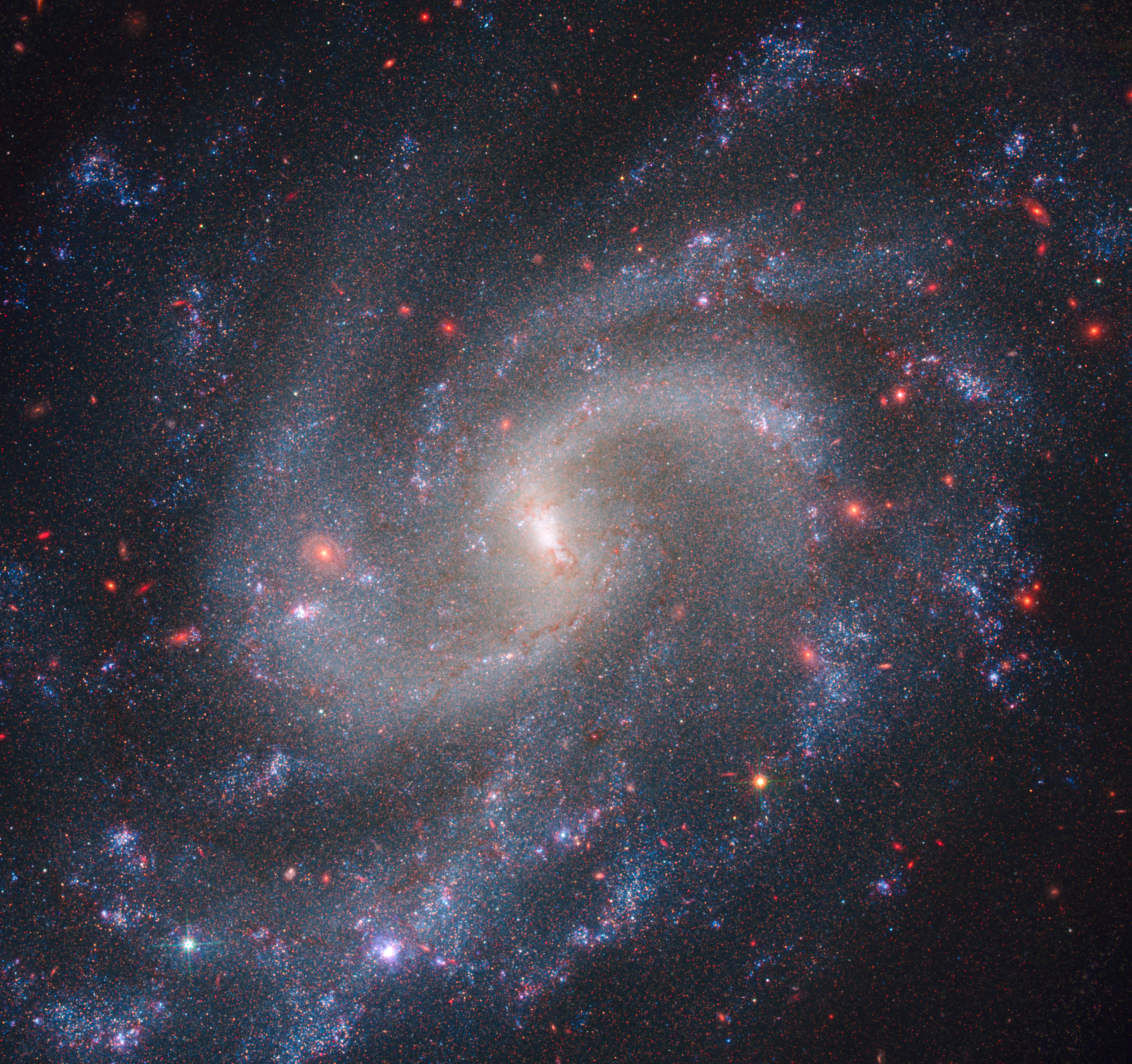 A large galaxy takes up the entirety of the image. The galaxy has a bright white core, and several large spiral arms extending out from that core, rotating clockwise. The arms are light blue with many pink speckles and clumps littering the arms. The background is also filled with a smattering of white and pink dots.