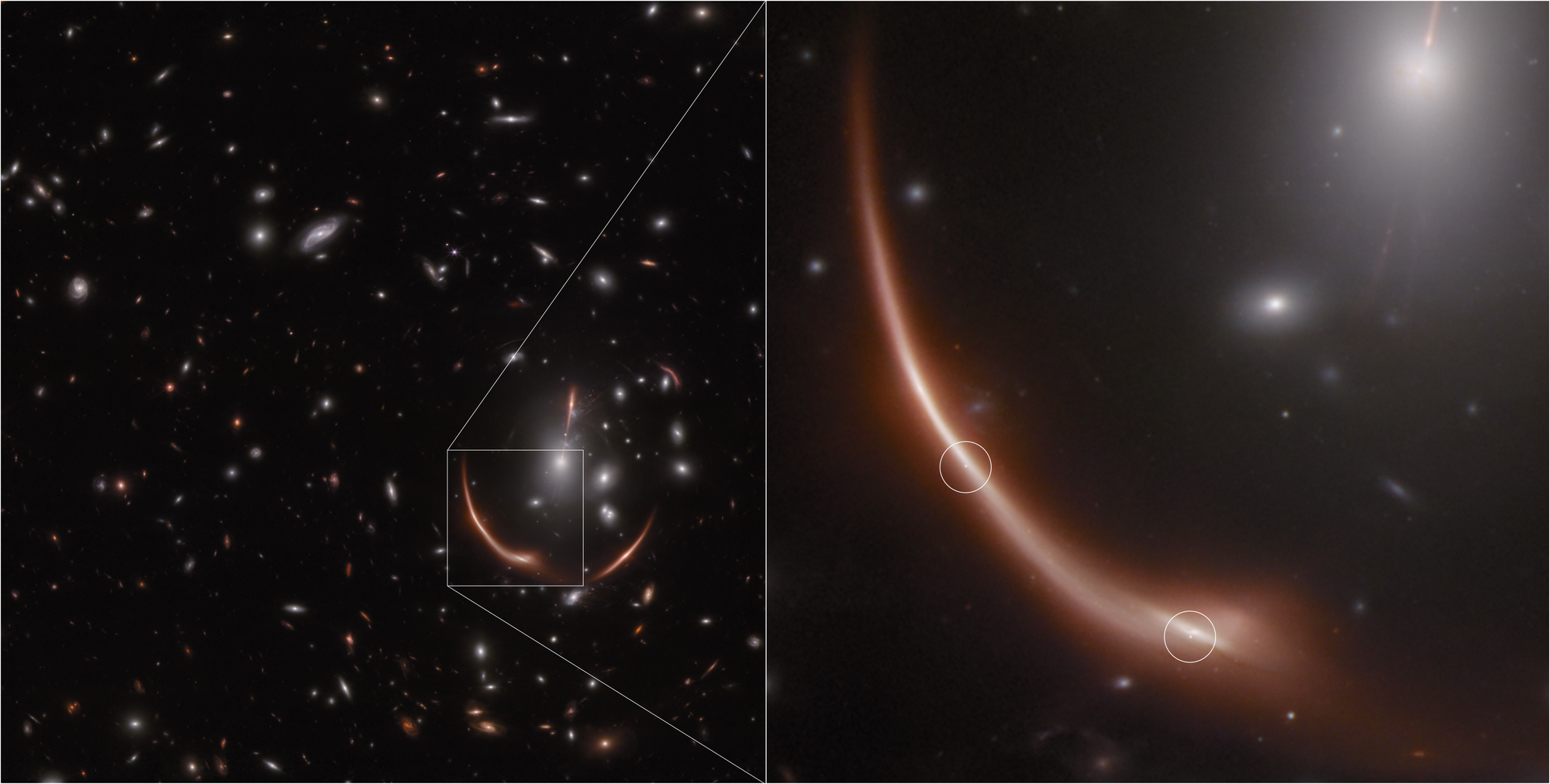 A two-panel image. At left, dozens of small galaxies are scattered on the black background of space. A curved and distorted galaxy image on the right side is highlighted with a white box. Lines extend from the box’s corners to the right panel, which shows an enlarged view of the curved galaxy image. Two faint points of light are circled.