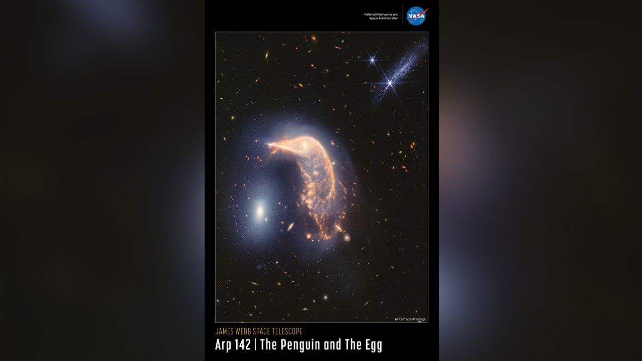 A horizontal poster displaying an infrared image of the two interacting galaxies, together known as Arp 142. At left is NGC 2937, nicknamed the Egg. Its center is bright white. There are six diffraction spikes atop its gauzy blue layers. At right is NGC 2936, nicknamed the Penguin. The beak-like region points to the left. Where the eye would be is a small, opaque yellow spiral. The galaxy’s distorted arms form the bird’s beak, back, and wide tail. A semi-transparent blue hue traces the Penguin and the Egg, packed with gas and stars. At top right is a comet-like light blue galaxy seen from the side. One foreground star with large, bright blue diffraction spikes appears over it and another near it. The entire black background is filled with tiny, extremely distant galaxies. At upper right is text that reads, "National Aeronautics and Space Administration" and NASA’s blue, white and red "meatball" logo. Title text appears at lower left that says, "James Webb Space Telescope: Arp 142, The Penguin and The Egg."