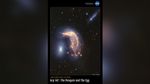 A horizontal poster displaying an infrared image of the two interacting galaxies, together known as Arp 142. At left is NGC 2937, nicknamed the Egg. Its center is bright white. There are six diffraction spikes atop its gauzy blue layers. At right is NGC 2936, nicknamed the Penguin. The beak-like region points to the left. Where the eye would be is a small, opaque yellow spiral. The galaxy’s distorted arms form the bird’s beak, back, and wide tail. A semi-transparent blue hue traces the Penguin and the Egg, packed with gas and stars. At top right is a comet-like light blue galaxy seen from the side. One foreground star with large, bright blue diffraction spikes appears over it and another near it. The entire black background is filled with tiny, extremely distant galaxies. At upper right is text that reads, "National Aeronautics and Space Administration" and NASA’s blue, white and red "meatball" logo. Title text appears at lower left that says, "James Webb Space Telescope: Arp 142, The Penguin and The Egg."