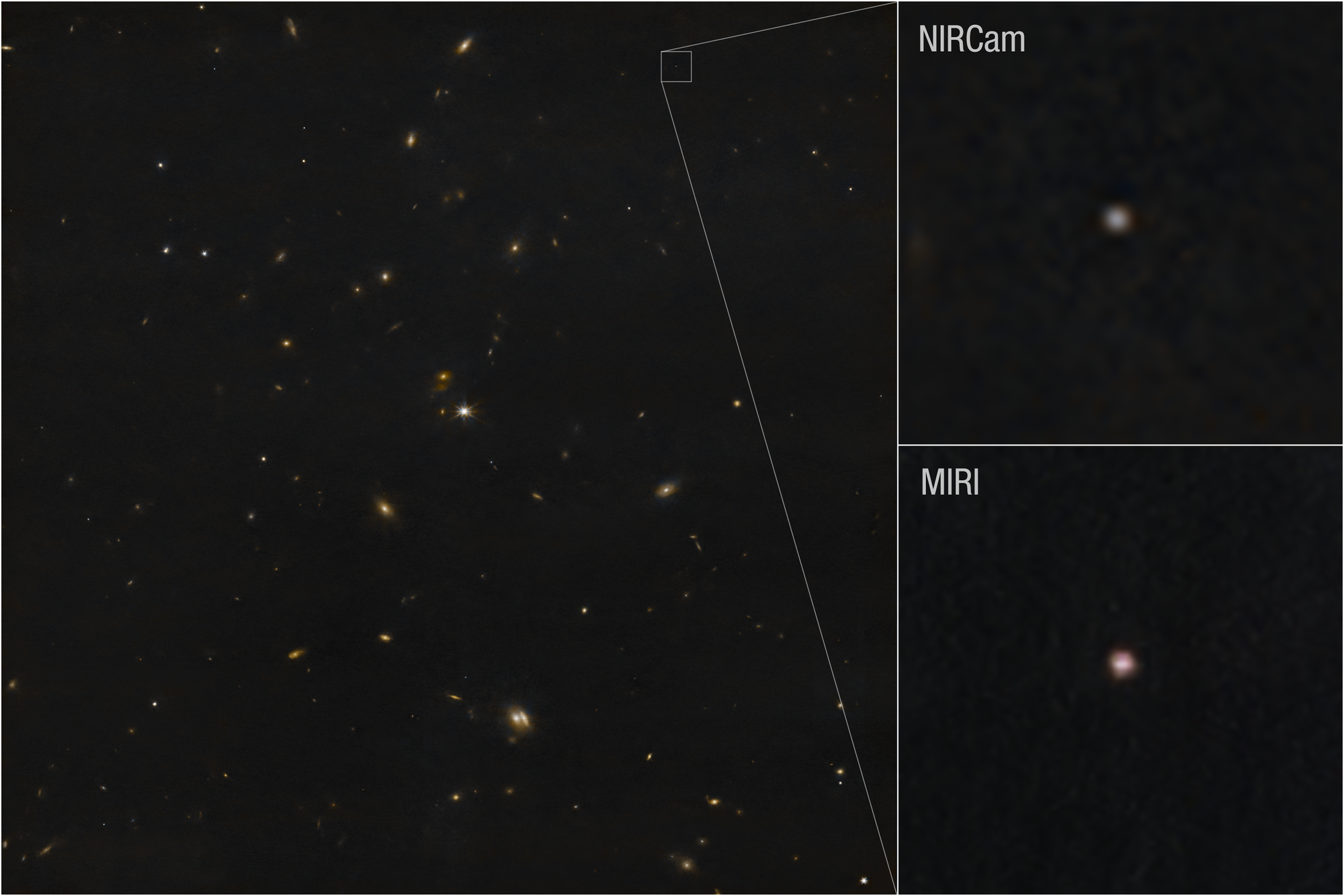 A collage of three images primarily showing the black expanse of space. Two-thirds of the collage show one image of a black background sprinkled with small, blurry galaxies in orange, blue, and white. On the right side of the main image, not far from the top, a very faint dot is outlined with a white square. Two images at right, in a column show zoomed in views of this area. The top box is labeled NIRCam and shows a fuzzy dot at the center. The bottom box is labeled MIRI and shows a fuzzy pinkish dot at the center.