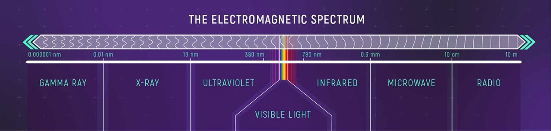 Graphic titled “The Electromagnetic Spectrum” shows the shortest, most energetic wavelengths at the left and the longest, least energetic to the right, illustrated as a long, partially colored strip that ends in arrows. From left to right, the types of light are paired with their measurements: gamma ray (0.000001 to 0.01 nanometers), X-ray (0.01 to 10 nanometers), ultraviolet (10 to 380 nanometers), visible light (380 to 780 nanometers), infrared (780 nanometers to 0.3 millimeters), microwave (0.3 millimeters to 10 centimeters), radio (10 centimeters to 10 meters). On the graphic, visible light is represented by a rainbow of colors: violet, indigo, blue, green, yellow, orange, and red. The background is largely purple.