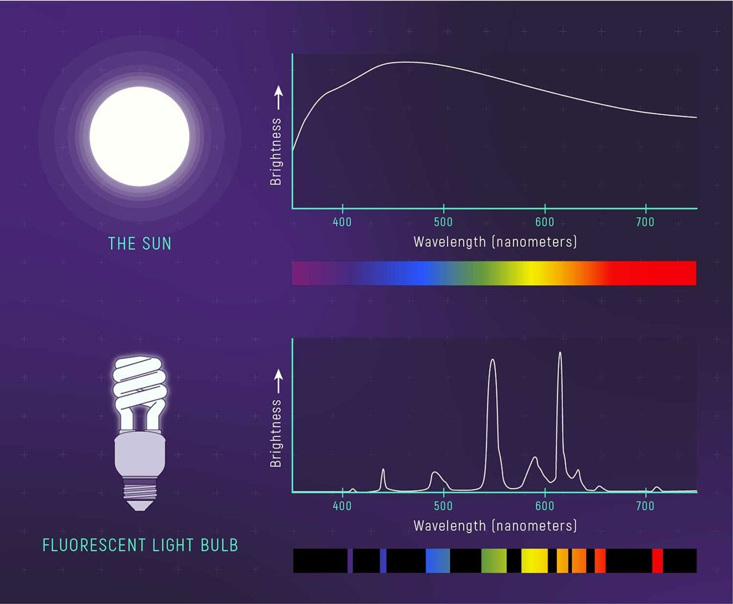 A comparison of the spectrum of the Sun (top half of the graphic) to the spectrum of a fluorescent light bulb (bottom half of the graphic). The two spectra are distinctly different: The spectrum of sunlight is shown as a continuous curve and rainbow. The spectrum of the light bulb consists of a set of discrete sections, shown as peaks on the graph and bands of color in the picture. Select View Description for more details.