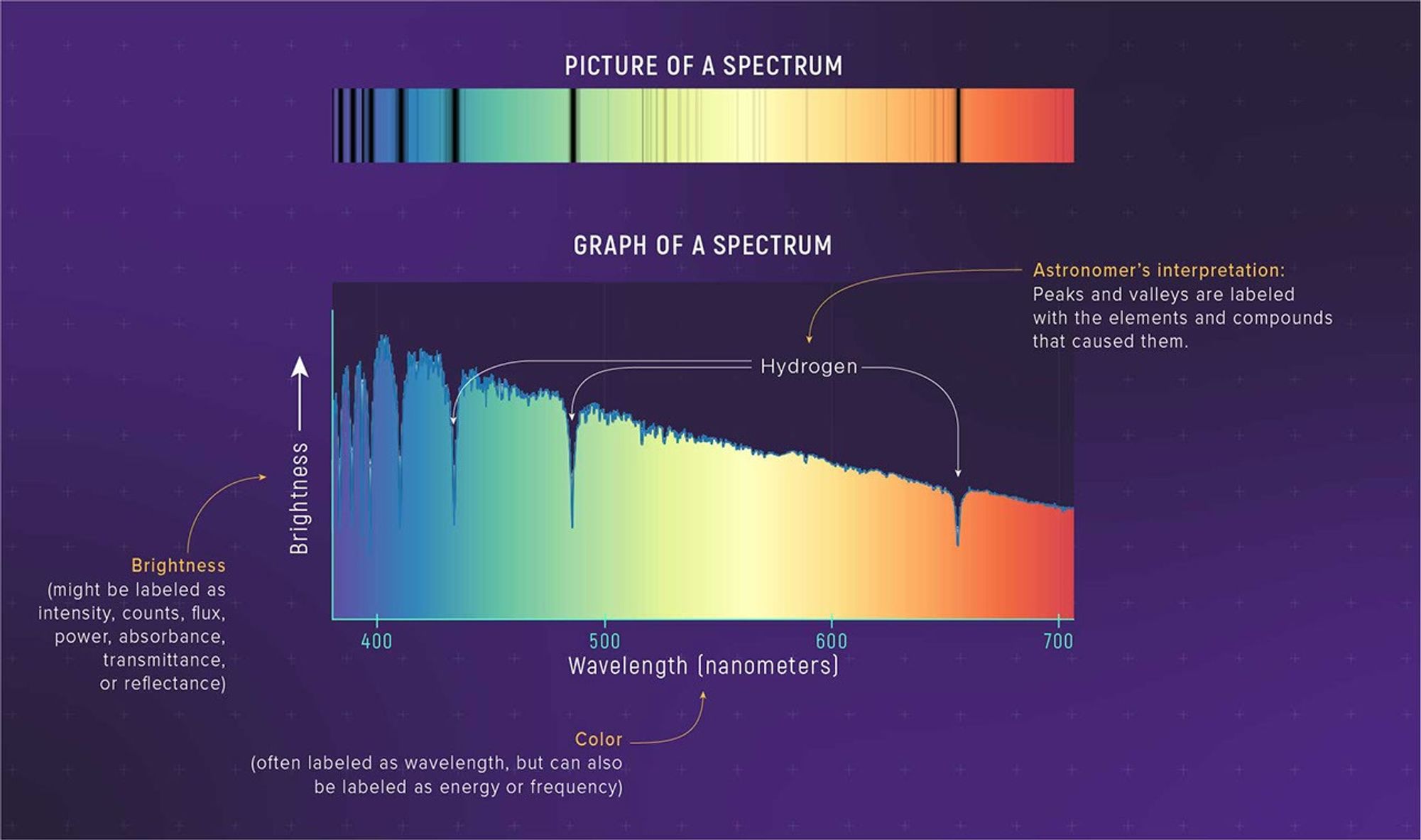 Picture and graph of a spectrum stacked vertically. Picture of a Spectrum (top): Rectangle with rainbow coloring from blue at left to red at right. Rainbow broken up with vertical black lines of varying width. Graph of a Spectrum (bottom): Brightness on y-axis increases from bottom to top. Callout reads, “Brightness (might be labeled as intensity, counts, flux, power, absorbance, transmittance, or reflectance).” Wavelength in nanometers on x-axis ranges from 400 to 700. Callout reads, “Color (often labeled as wavelength, but can also be labeled as energy or frequency).” Data graphed as line with area below line colored to match the blue to red of picture above. Line has many narrow valleys that correspond to the dark lines in the picture. Three valleys labeled “Hydrogen.”  Arrow pointing to “Hydrogen” label reads, “Astronomer’s Interpretation: Peaks and valleys are labeled with the elements and compounds that caused them.” See Image Description for more details.