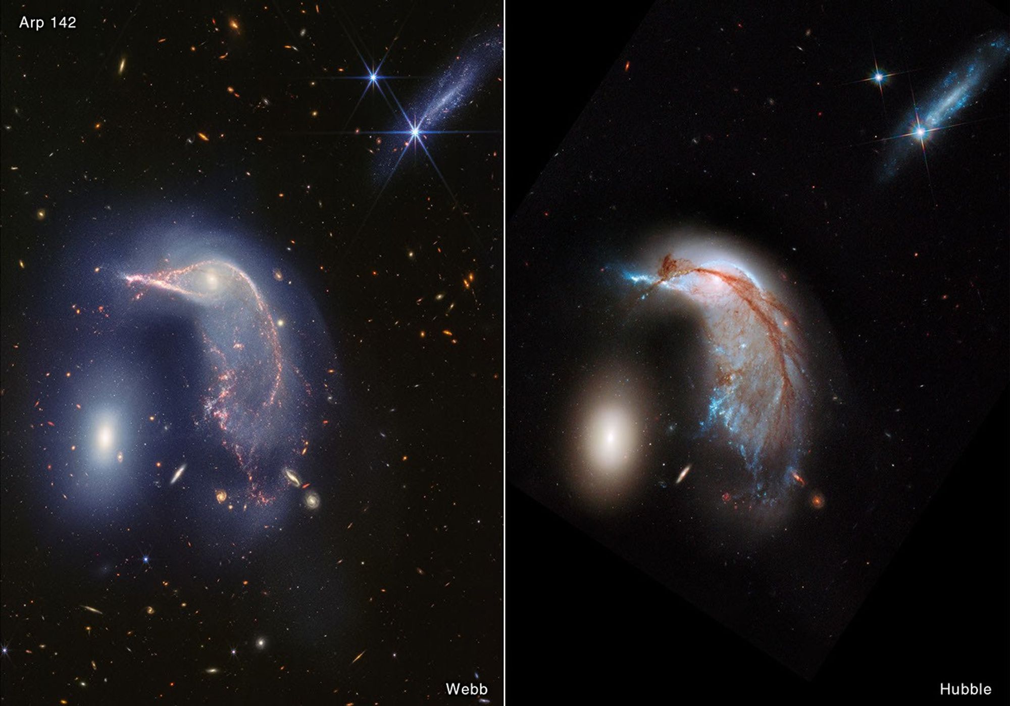Frame is split down the middle: Webb’s near-infrared image at left, and Hubble’s visible light image at right. Both show the Egg at left and the Penguin at right. Webb’s near-infrared image shows the Penguin’s beak, head, and back in shades of pink. Its tail-like region is more diffuse, and a mix of lighter pinks and blues. The Egg appears slightly larger in blue layers. A semi-transparent blue forms an upside down U over top of both galaxies. At top right, an edge-on galaxy has many more pinpricks of light, which are stars. In Hubble’s view, the Penguin is highly detailed, with a bright blue beak, body, and tail that is covered in an arc of bright brown dust. The Egg, to its left, appears bright, gleaming yellowish white. At top right is another galaxy seen from the side, about as long as the Egg’s height. Dozens of galaxies and stars appear in the background. Thousands of galaxies and stars appear in the background. Some galaxies are shades of orange, while others are white.
