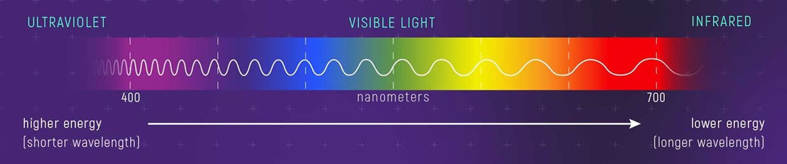 A horizontal bar with rainbow coloring, from violet (left) to red (right). The colors grade into one another, with the far-left and far-right ends fading into the dark background of the graphic. The center region of the rainbow is labeled “Visible Light.” The region left of violet is labeled “Ultraviolet.” The region right of red is labeled “Infrared.” Running left to right through the middle of the rainbow bar is a squiggly sine wave. The distance between wave peaks increases (the waves get longer) from violet at the left to red at the right. Seven white dashed, vertical lines are spaced in equal increments across the rainbow. The leftmost line is in the violet region and is labeled “400 nanometers.” The rightmost line, in the bright red region, is labeled “700 nanometers.” Along the bottom is an arrow pointing from violet at the left to red at the right. The violet end, at the left, is labeled “higher energy (shorter wavelength).” The red end, at the right, is labeled “lower energy (longer wavelength).”
