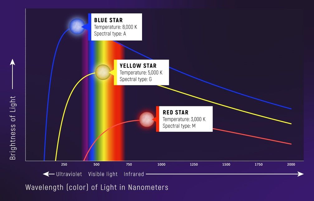 Graph of brightness versus wavelength of light, with three curves, each representing the continuous spectrum of a different color and temperature of star. The curve with the brightest wavelengths, with a peak brightness in the ultraviolet, is labeled “Blue star; 8,000 K; Spectral type: A” The curve with the dimmest wavelengths and a peak in the infrared is labeled, “Red star; 3,000 K; Spectral type: M” The curve showing wavelengths with intermediate brightness and a peak in the visible part of the spectrum is labeled “Yellow star; 5,000 K; Spectral type: G.” See the Image Description for more details.