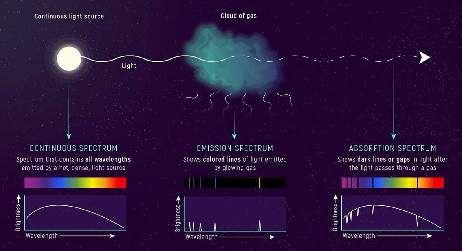 Infographic showing the relationship between the continuous spectrum of a star whose light is shining on gas, the emission spectrum of glowing gas, and the absorption spectrum of that gas. The graphic is divided into two parts. The top half shows a light source with a light wave passing into, through, and out of a cloud of gas. The bottom half shows the three types of spectra in picture and graph forms. From left to right: “Continuous Spectrum” is shown as a continuous rainbow and a smooth hump-shaped line on a graph of brightness versus wavelength; “Emission Spectrum” is shown as a series of thin colored lines separated by black spaces, and a series of sharp peaks on a graph of brightness versus wavelength; and “Absorption Spectrum” is shown as a rainbow with a series of thin black lines replacing some of the colors, and a smooth curve with a series of sharp valleys on a graph of brightness versus wavelength. Select View Description for more details.