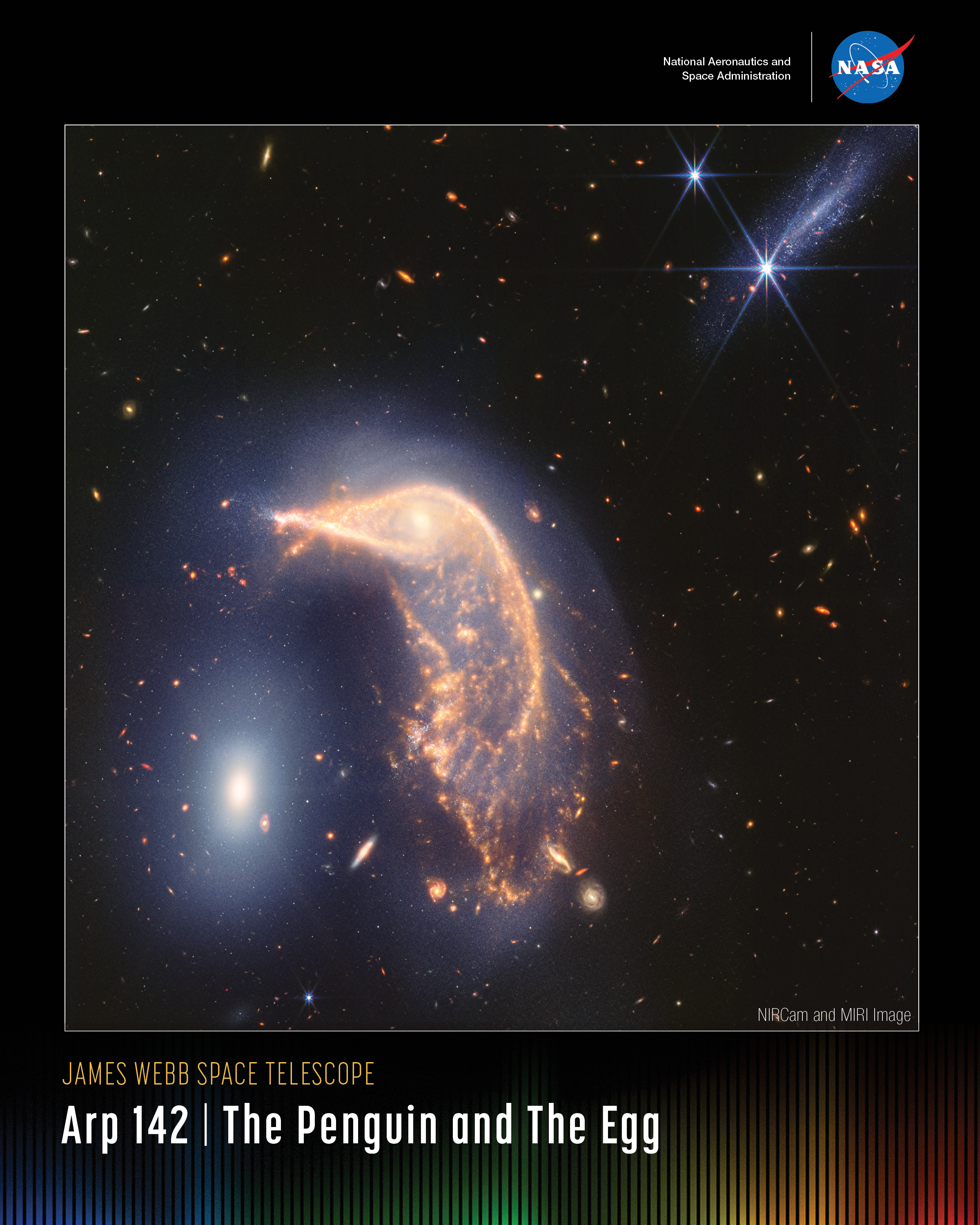 A horizontal poster displaying an infrared image of the two interacting galaxies, together known as Arp 142. At left is NGC 2937, nicknamed the Egg. Its center is bright white. There are six diffraction spikes atop its gauzy blue layers. At right is NGC 2936, nicknamed the Penguin. The beak-like region points to the left. Where the eye would be is a small, opaque yellow spiral. The galaxy’s distorted arms form the bird’s beak, back, and wide tail. A semi-transparent blue hue traces the Penguin and the Egg, packed with gas and stars. At top right is a comet-like light blue galaxy seen from the side. One foreground star with large, bright blue diffraction spikes appears over it and another near it. The entire black background is filled with tiny, extremely distant galaxies. At upper right is text that reads, "National Aeronautics and Space Administration" and NASA’s blue, white and red "meatball" logo. Title text appears at lower left that says, "James Webb Space Telescope: Arp 142, The Penguin and The Egg."