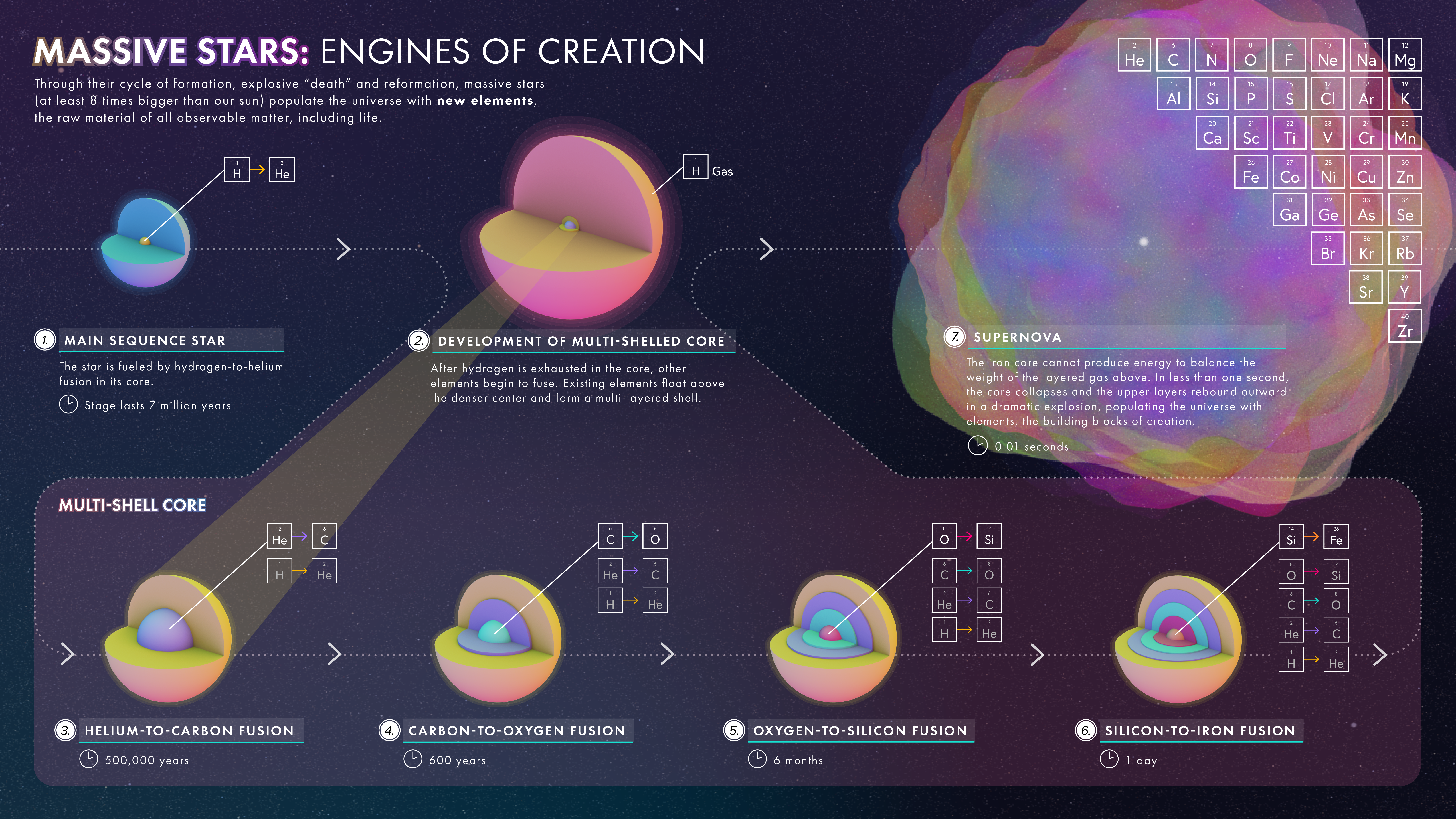Diagram showing the process of element creation within the cores of massive stars over their lifetimes. Massive stars build up a series of shells within their cores that fuse heavier and heavier elements, until the stars explode as supernovas.