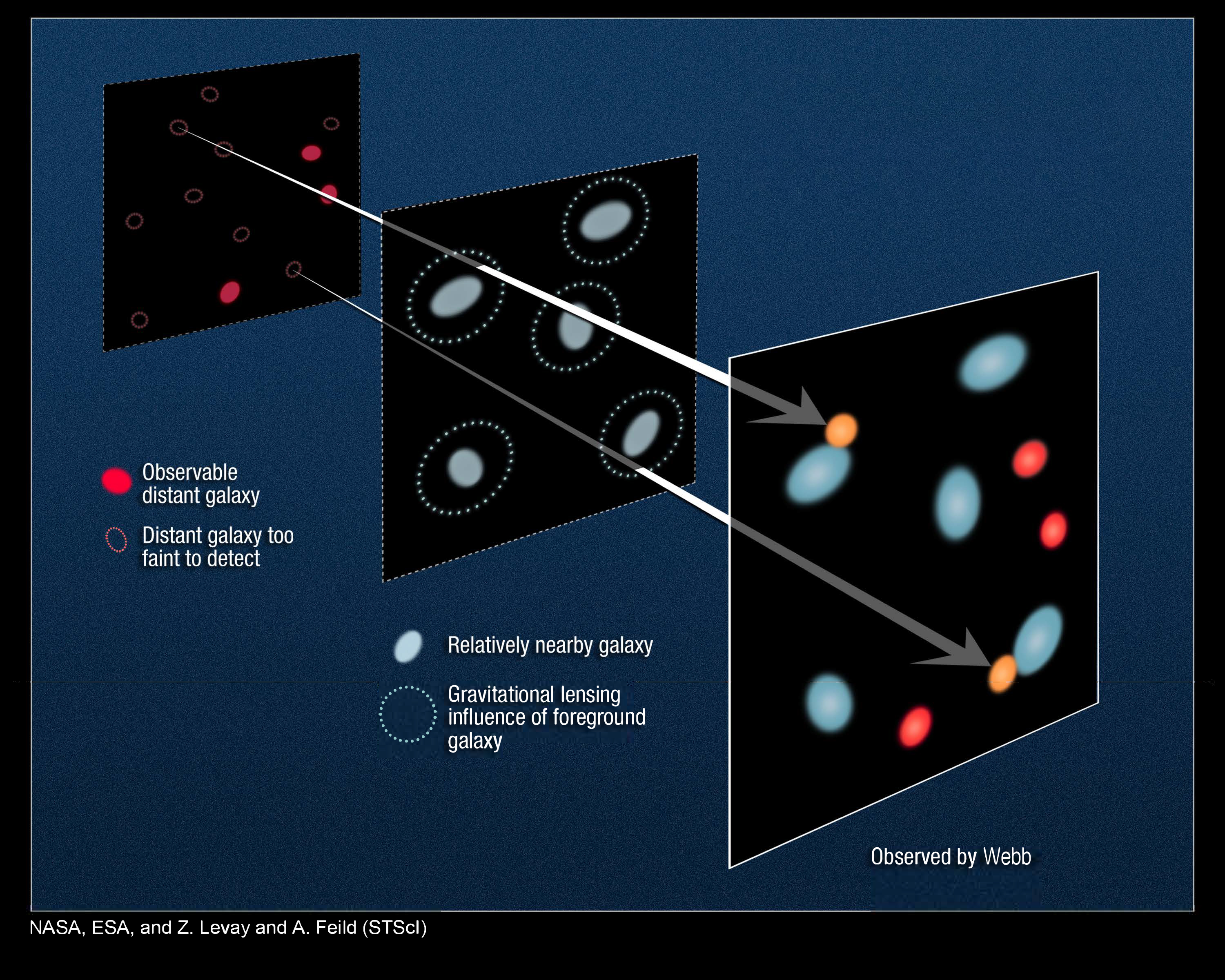 A square graphic breaks down how gravitational lensing by foreground galaxies influences the appearance of far more distant background galaxies.