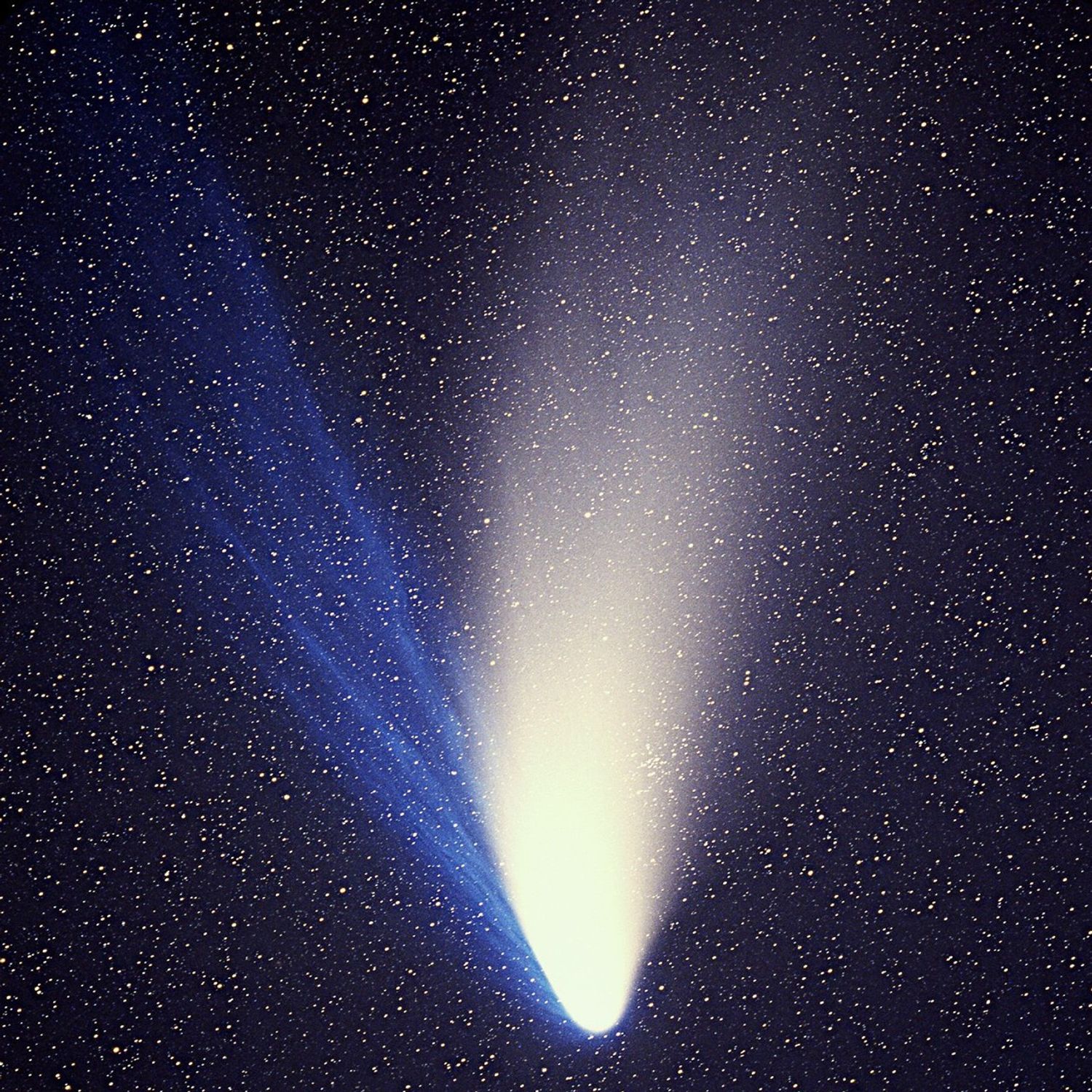 Comet Hale-Bopp begins as a bright white coma region at the bottom center. A white dust tail extends into a rough isosceles triangle all the way to the top. It begins opaque and becomes transparent. A second bright blue gas tail begins at the same place at the bottom of the image near the coma but streams out toward the top left. The black background of space is speckled with tiny yellow dots, which are stars.
