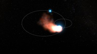 The Cosmic Dust in Your Bones—NASA's Webb Telescope Will Investigate ...