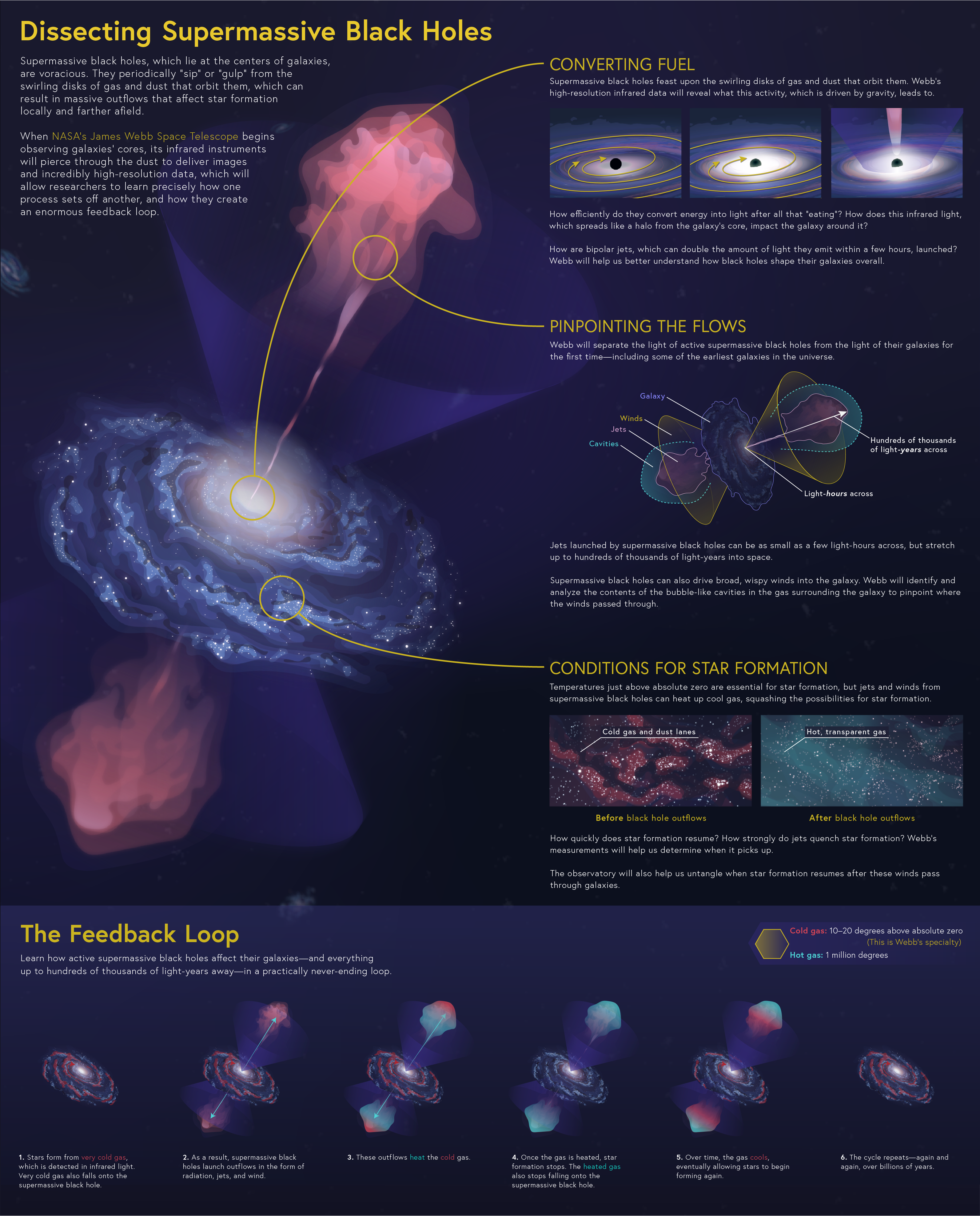 A large-scale infographic titled “Dissecting Supermassive Black Holes” has several sections with inset images and supporting text that details the activities of active supermassive black holes.