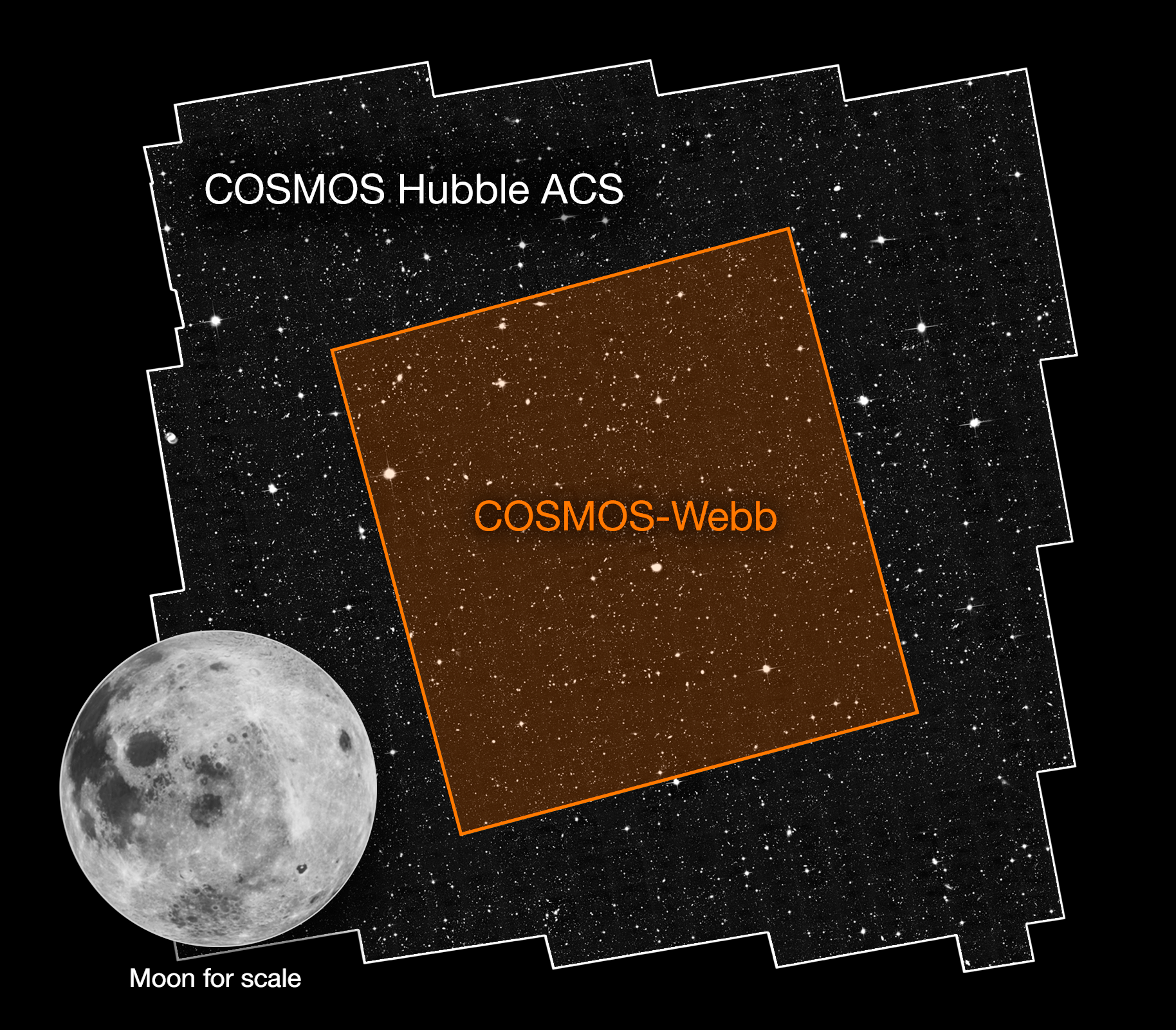 Comparison between the COSMOS field of view from Hubble's ACS and the COSMOS field of view from Webb. In the bottom left corner is an image of the Moon for scale.