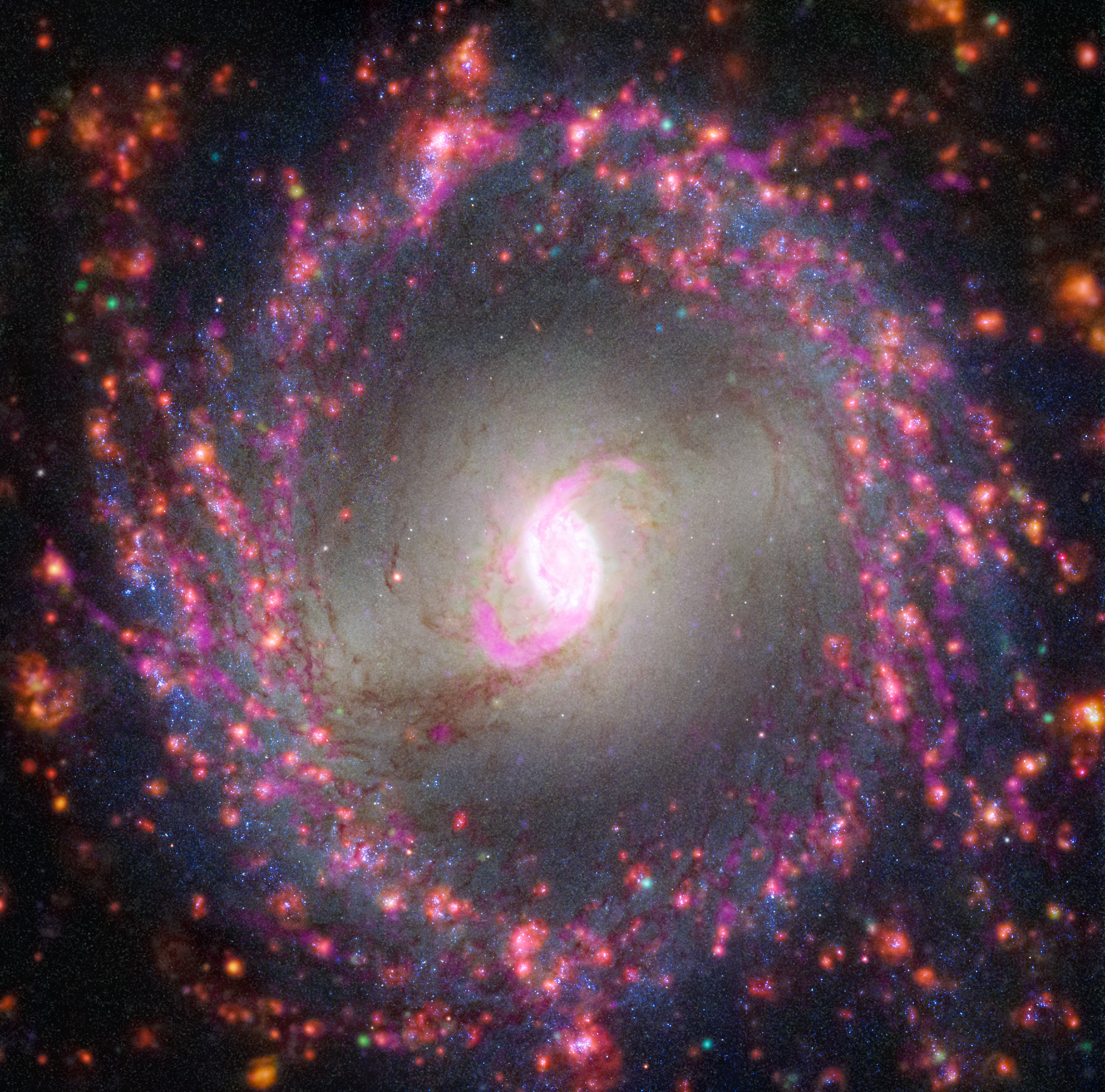 Face-on barred spiral galaxy NGC 3351. The galaxy has a bright white core, a wide circular lane of pink and blue, and red specks at the edges of the frame that are the ends of its pink-and-blue spiral arms.