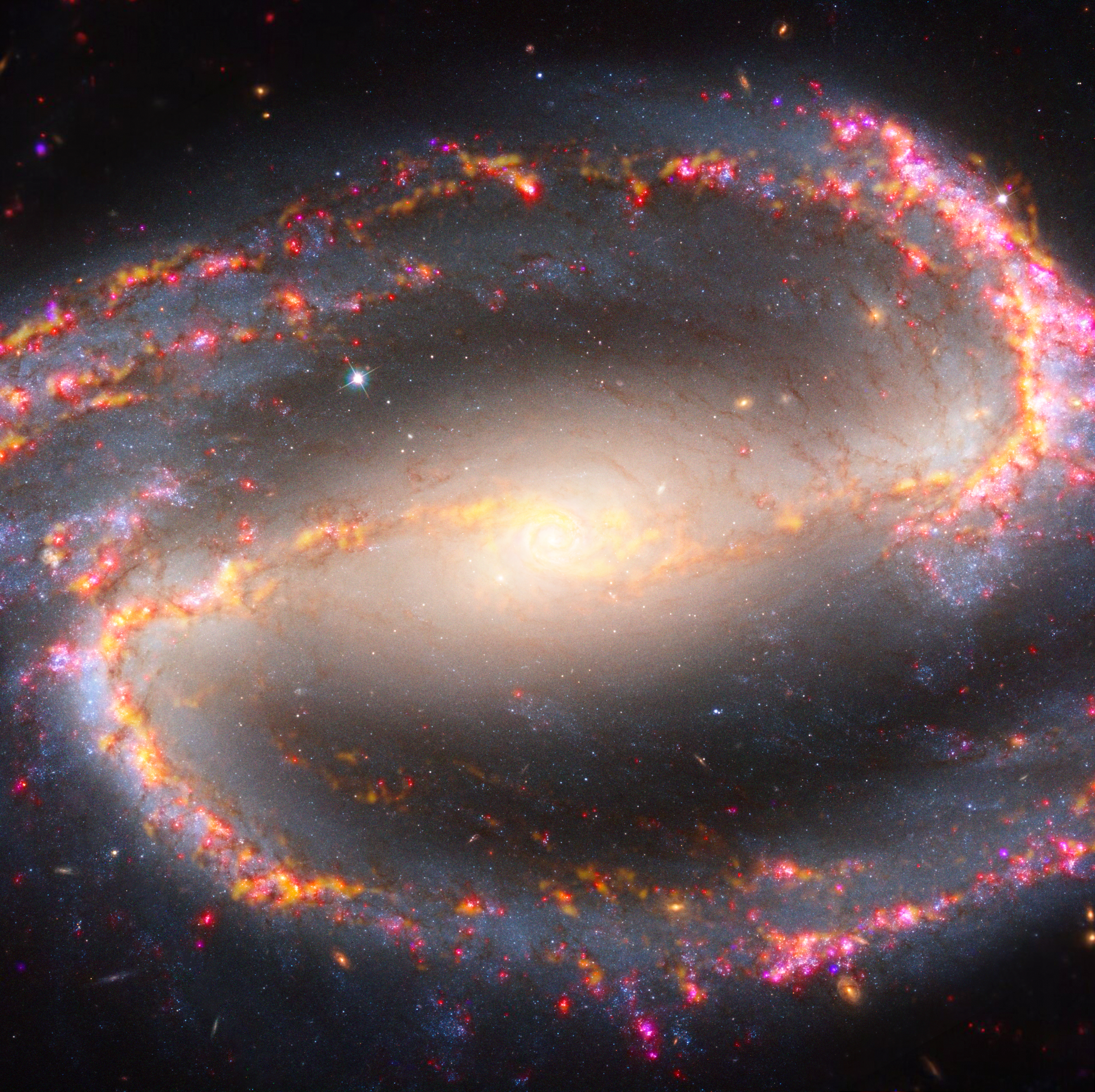 Face-on barred spiral galaxy NGC 1300. It has a very bright white core, and two very fat pink, orange, and blue spiral arms that start at the core. The first wraps to the right, top, and all the way across to the left. The second starts at the core and wraps all the way to the left, bottom, and then all the way across to the right.