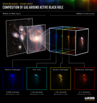 Infographic showing maps of different gases around an active black hole.