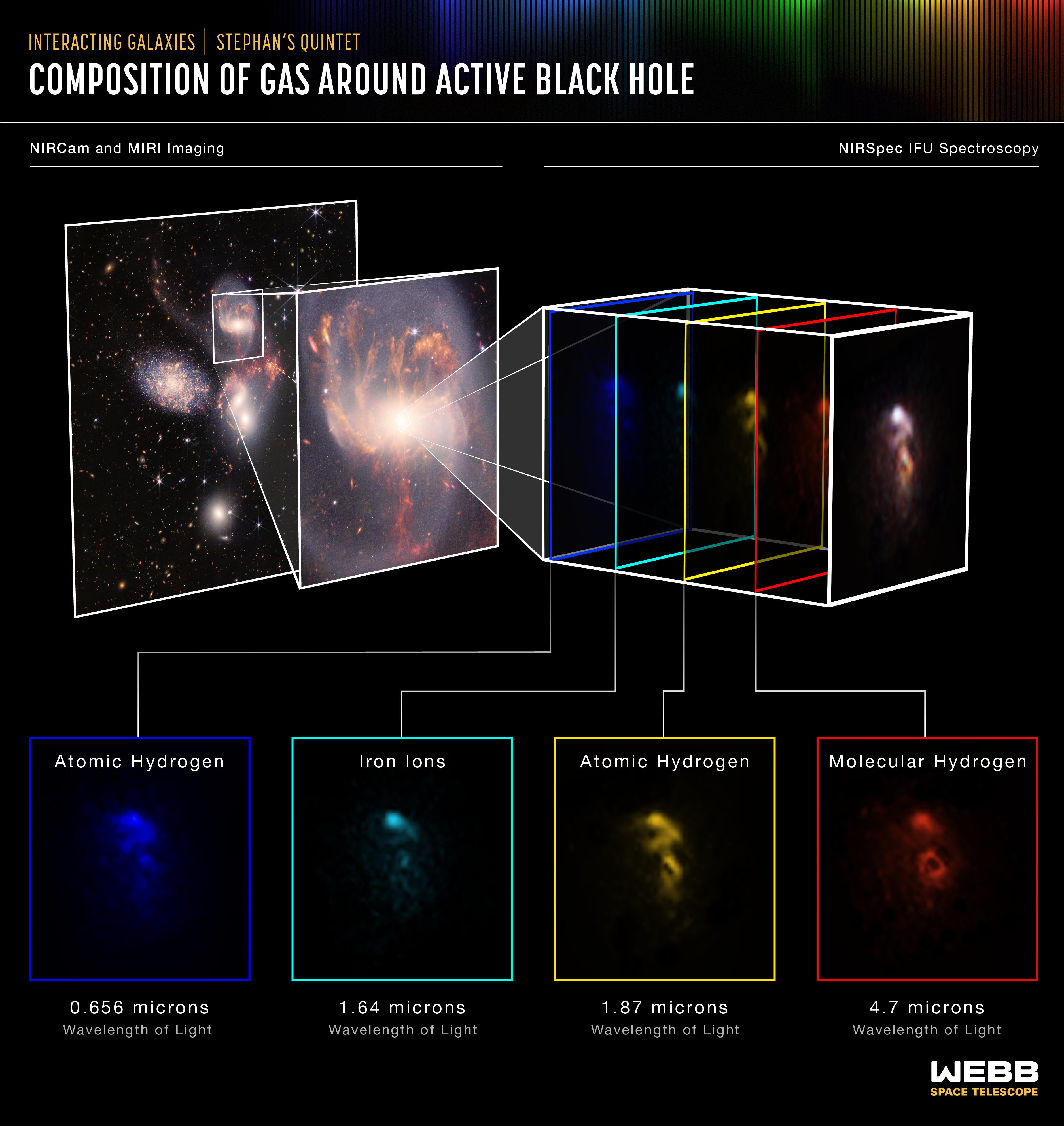 Infographic showing maps of different gases around an active black hole.