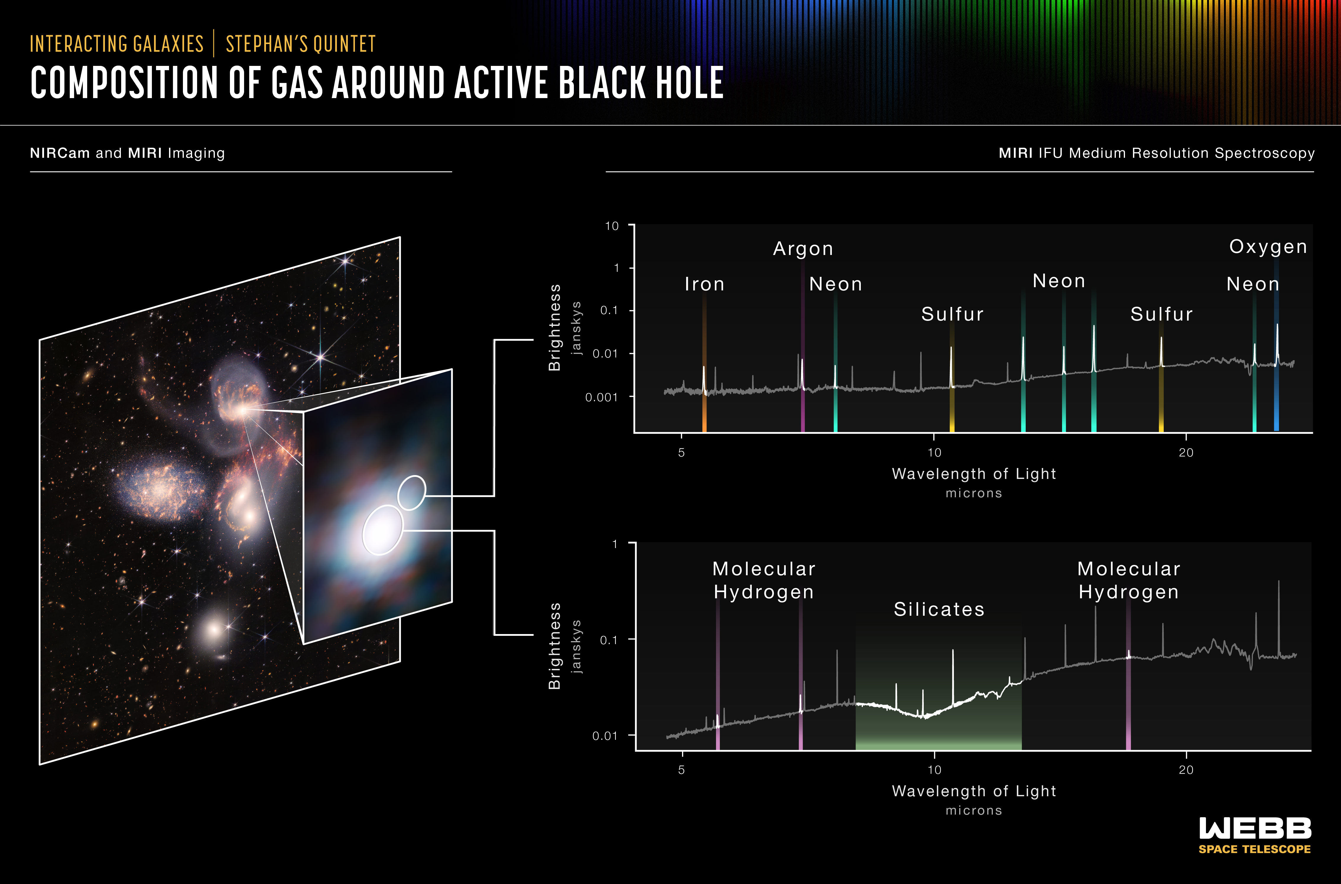 Infographic showing the composition of gas around an active black hole