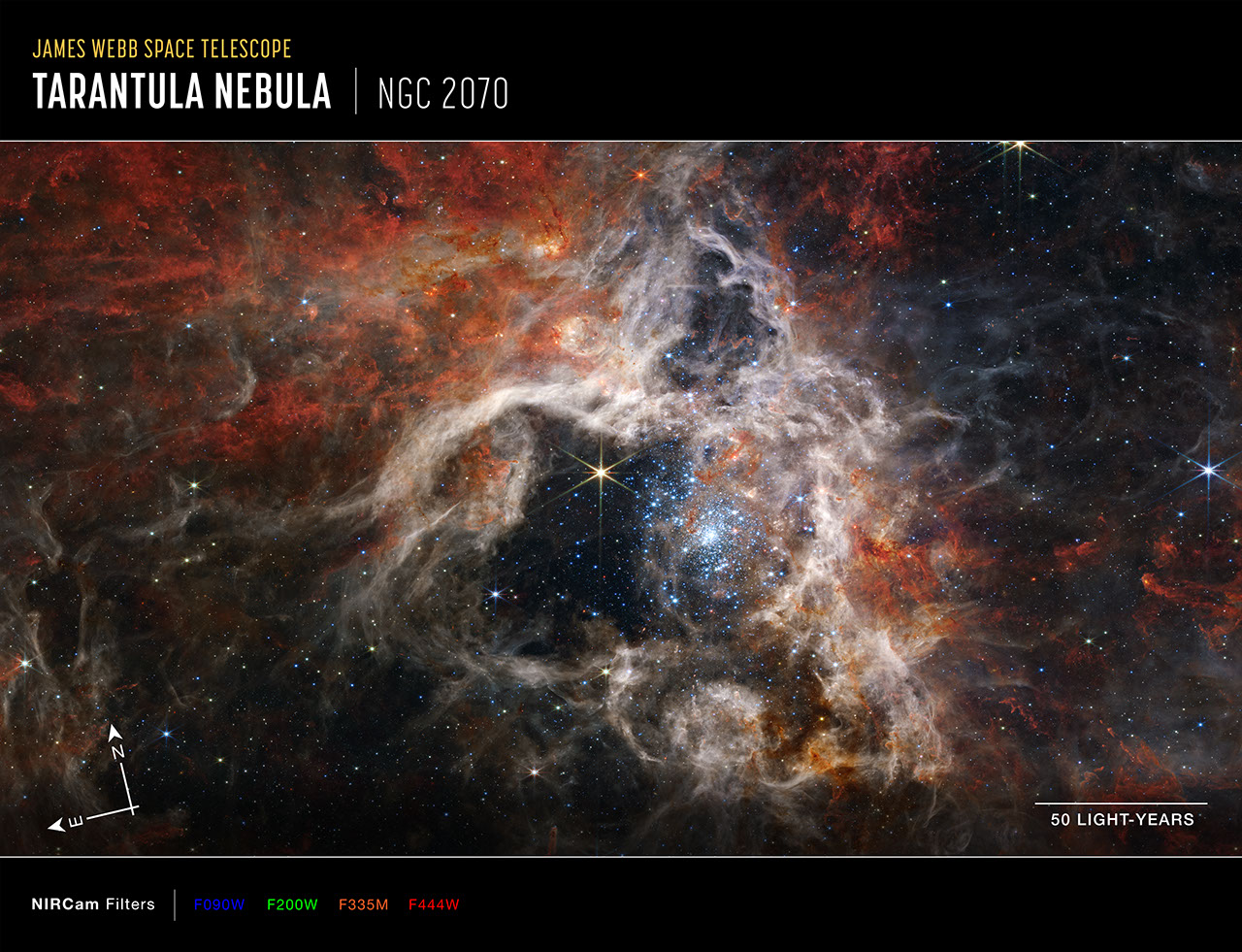 Image titled James Webb Space Telescope, Tarantula Nebula, NGC 2070. Graphic elements added to image are compass arrows, scale bar, and color key. Image shows Tan-colored nebula clouds with rust-colored highlights, surrounding a black central area containing a bright cluster of sparkling pale blue stars that scatter outward from a densely packed center. At the bottom left are compass arrows indicating the orientation of the image on the sky. The north arrow points in the 11 o'clock direction. The east arrow points toward 8 o'clock. At the lower right is a scale bar labeled 50 light-years. The length of the scale bar is about one-eighth the total width of the image. Below the image is a color key showing which NIRCam filters were used to create the image and which visible-light color is assigned to each filter. From left to right, NIRCam filters are: F090W is blue, F200W is green, F335M is orange, F444W is red.