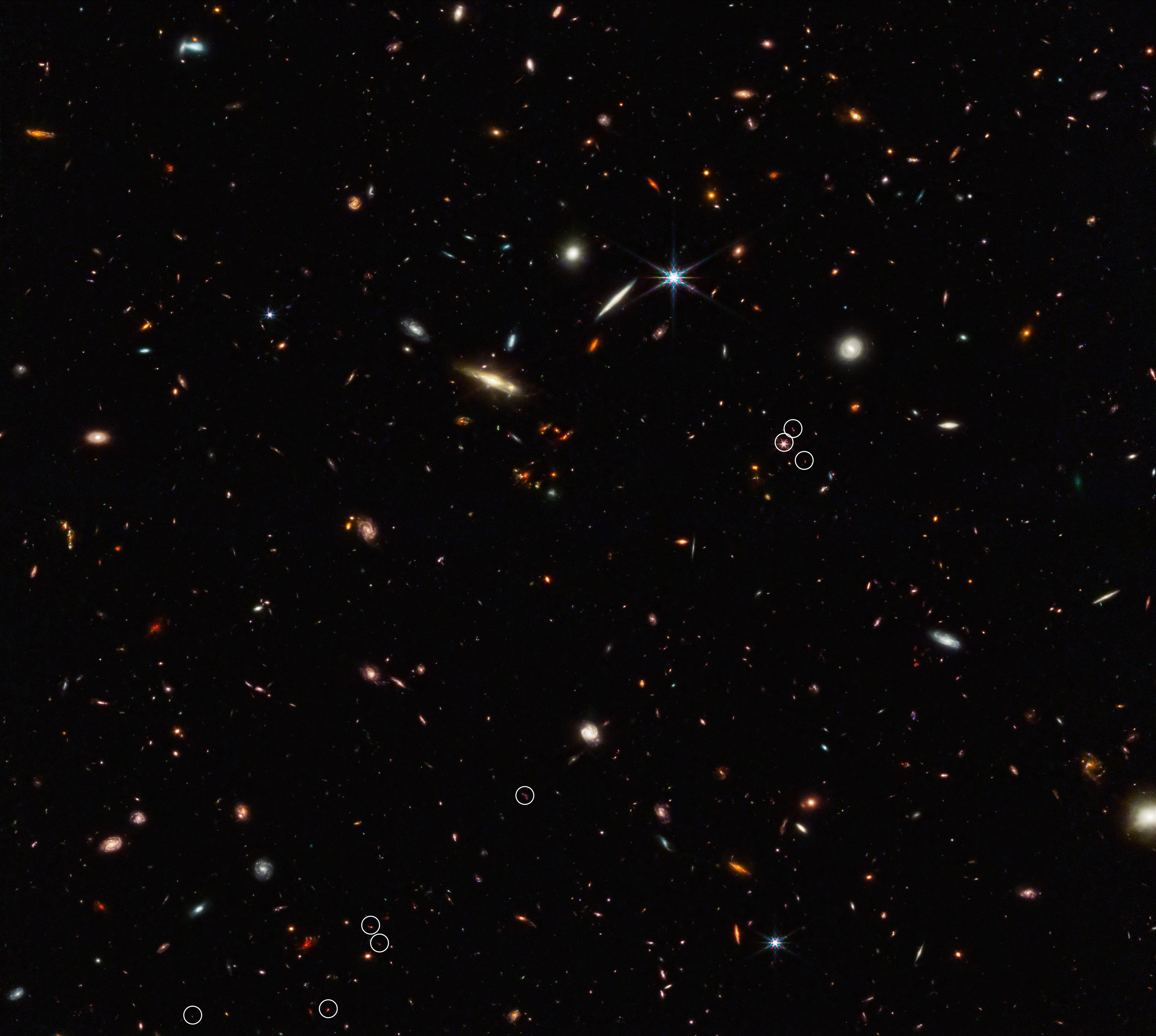 Image shows a black field speckled with a variety of galaxies of numerous shapes and sizes. The galaxies are white, yellow, blue and red. Red is the predominant galaxy color in the field, indicating very distant galaxies. Eight white circles mark the position of 10 galaxies (two circles contain more than one galaxy). The 10 galaxies are arranged in a diagonal, thread-like line from the bottom left to the top right. This 3-million-light-year-long filament is anchored by a very distant and luminous quasar – a galaxy with an active, supermassive black hole at its core. The quasar, called J0305-3150, appears in the middle of the cluster of three circles on the right side of the image. Its brightness outshines its host galaxy.