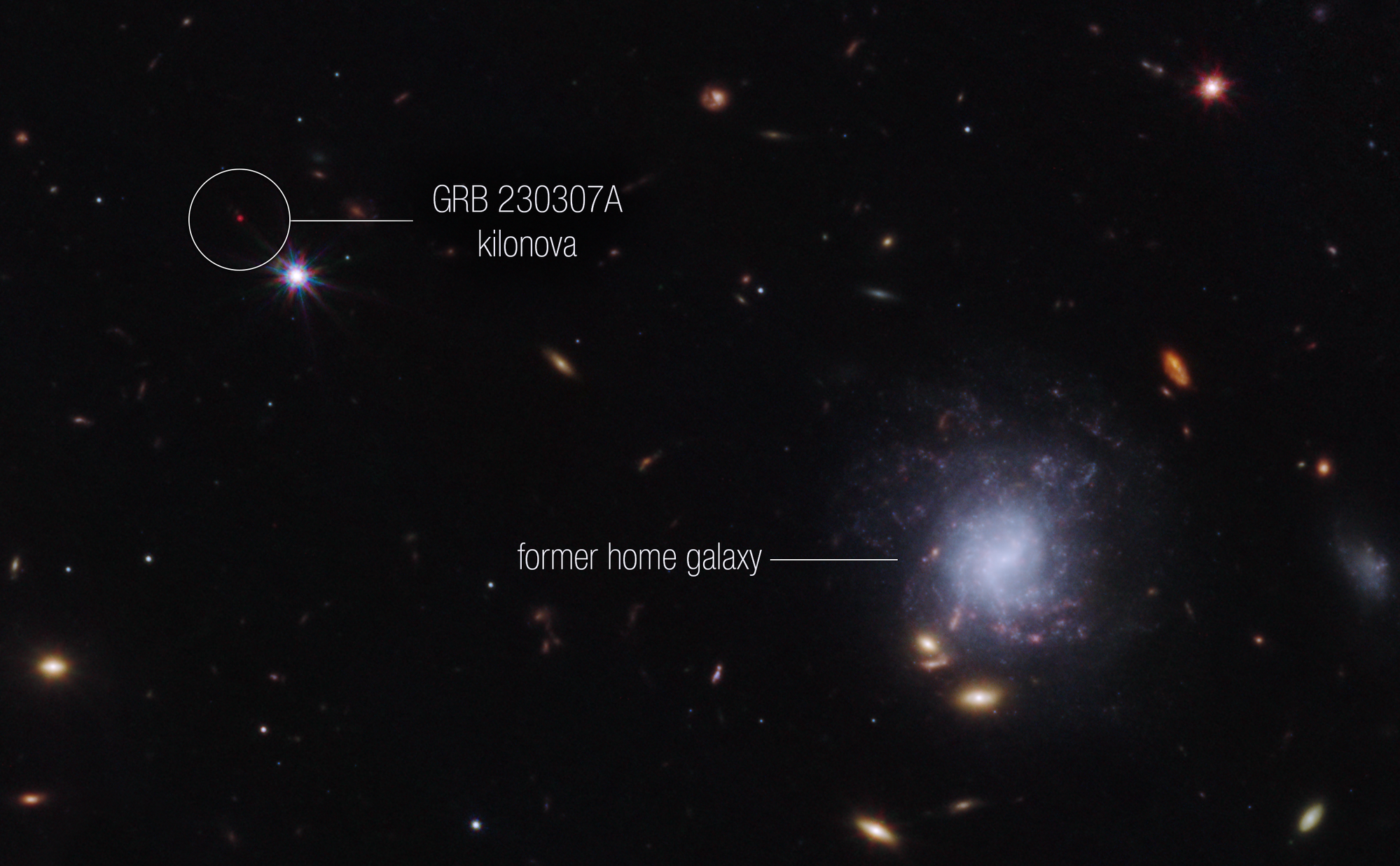Bright galaxies and other light sources in various sizes, shapes, and colors are scattered across a black swath of space. Toward the center right is a blue-white spiral galaxy seen face-on that is larger than the other light sources in the image. The galaxy is labeled “former home galaxy.” Toward the upper left is a small red point, which has a white circle around it and is labeled “GRB 230307A kilonova.”