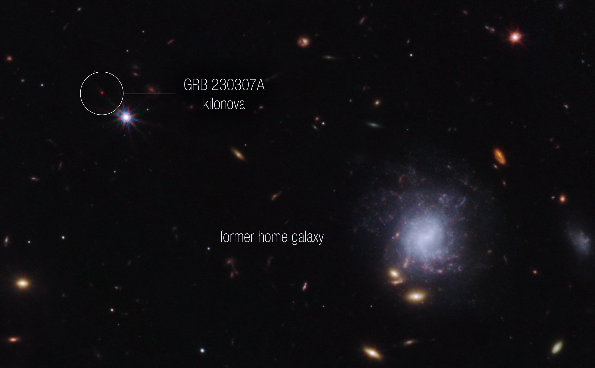 Bright galaxies and other light sources in various sizes, shapes, and colors are scattered across a black swath of space. Toward the center right is a blue-white spiral galaxy seen face-on that is larger than the other light sources in the image. The galaxy is labeled “former home galaxy.” Toward the upper left is a small red point, which has a white circle around it and is labeled “GRB 230307A kilonova.”