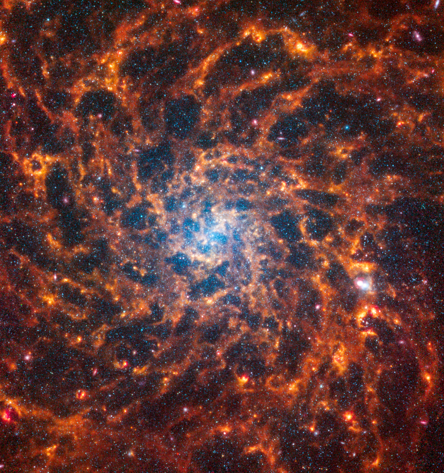 Webb’s image of IC 5332 shows a densely populated face-on spiral galaxy anchored by a central region that has a light blue haze. Spine-like spiral orange arms extend to the edges and rotate clockwise.