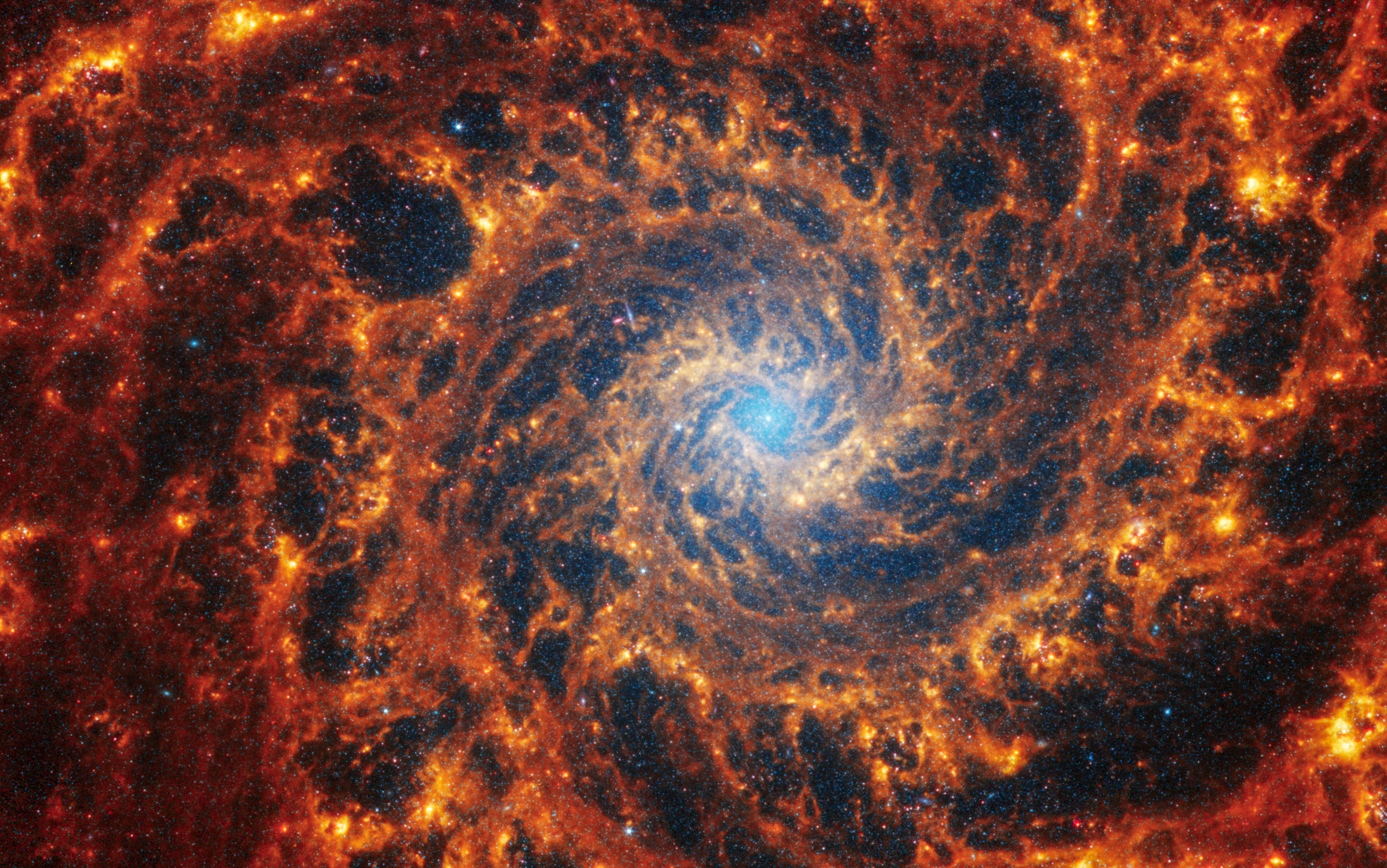 Webb’s image of NGC 628 shows a densely populated face-on spiral galaxy anchored by a central region that has a light blue haze. Spine-like f spiral orange arms extend to the edges and rotate counterclockwise.