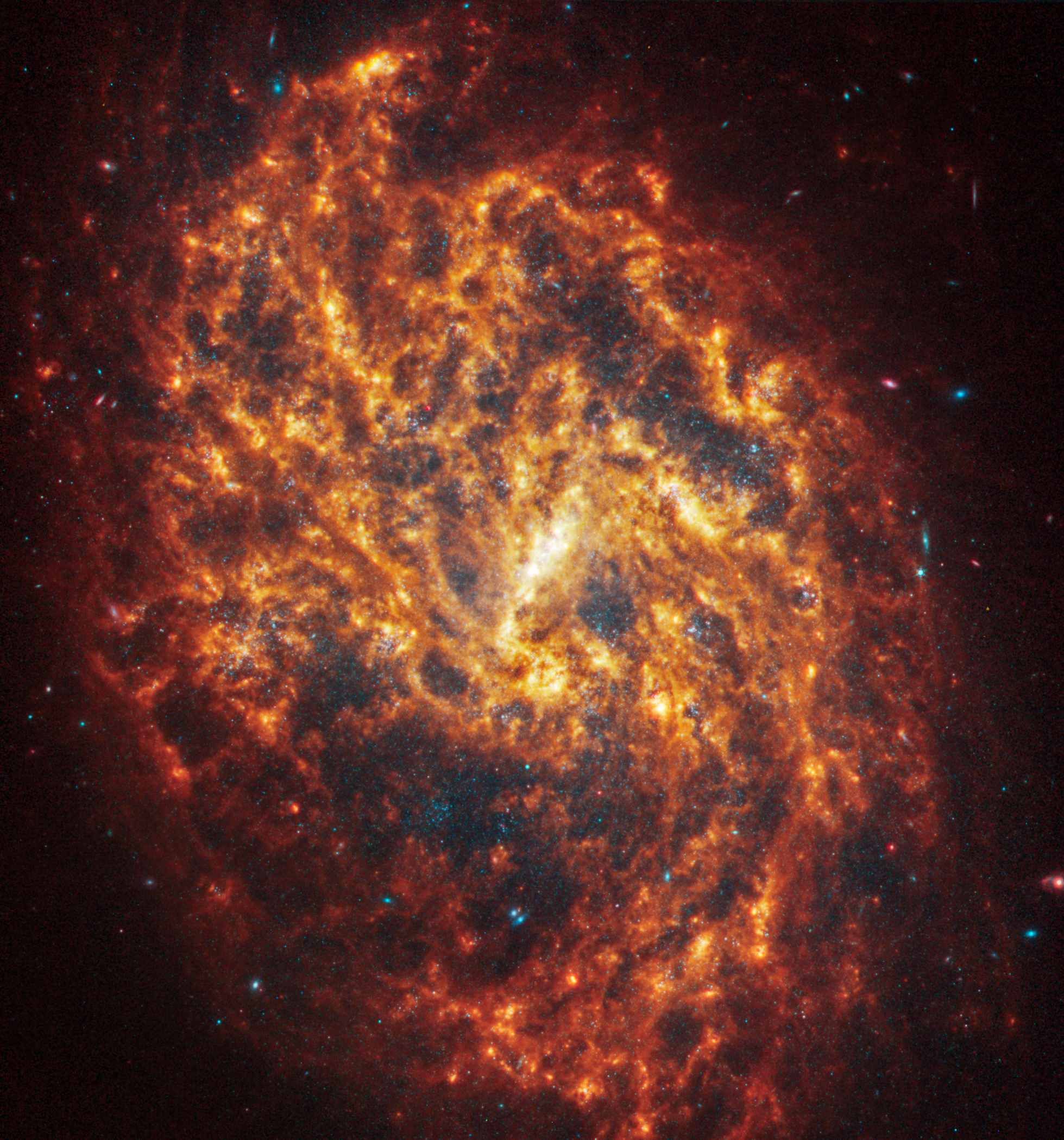 Webb’s image of NGC 1087 shows a densely populated face-on spiral galaxy anchored by a central region that takes the shape of a short line. Its filamentary orange spiral arms appear muddled together and it is difficult to pick out individual spiral arms. The arms extend to the edges and rotate clockwise.