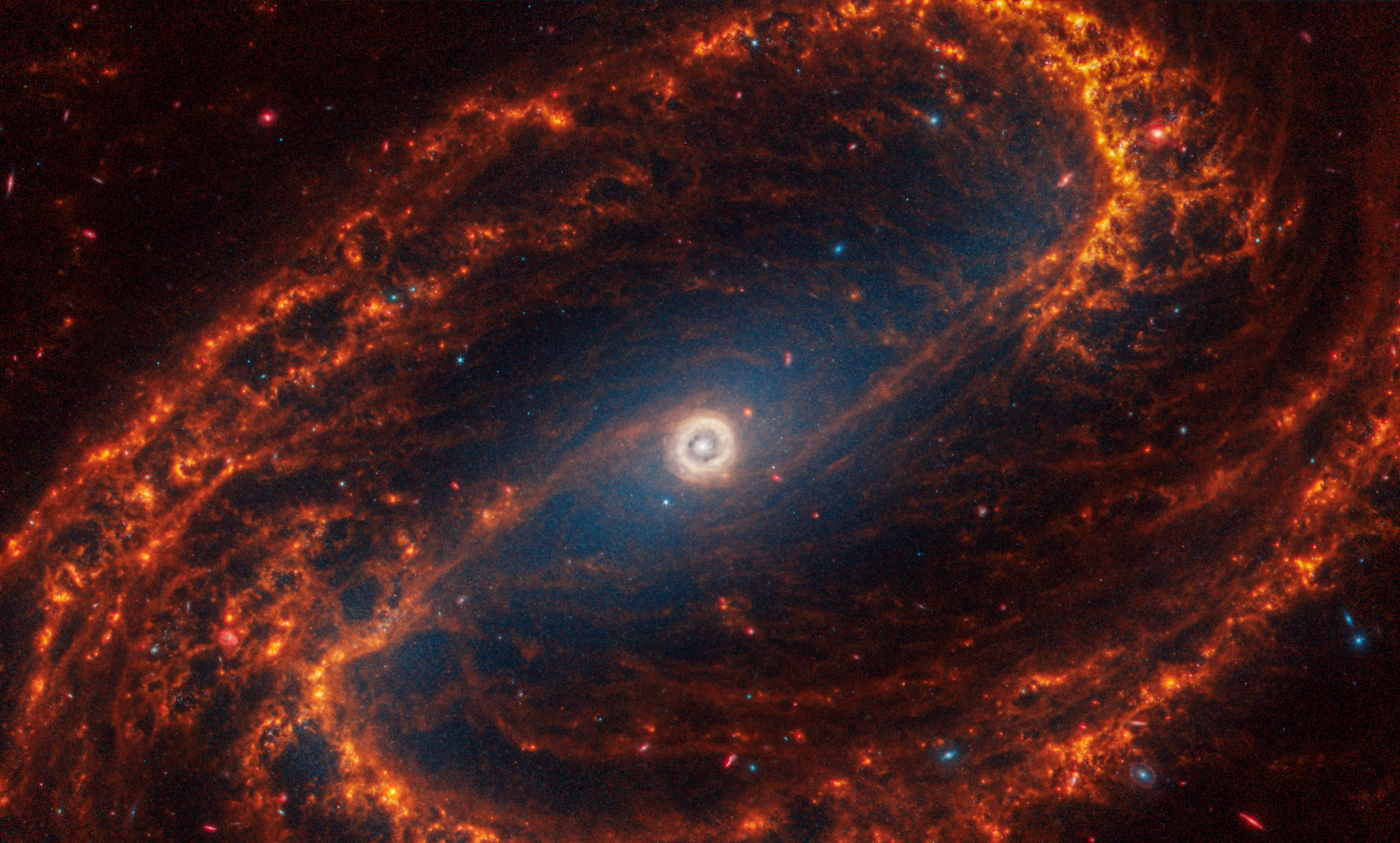 Webb’s image of NGC 1300 shows a face-on barred spiral galaxy anchored by its central region, which is circular and shows a bright white point at the center with a light yellow circle around it. The galaxy has a prominent bar connected to spiral orange arms that rotate counterclockwise. Together, they form a backward S shape.