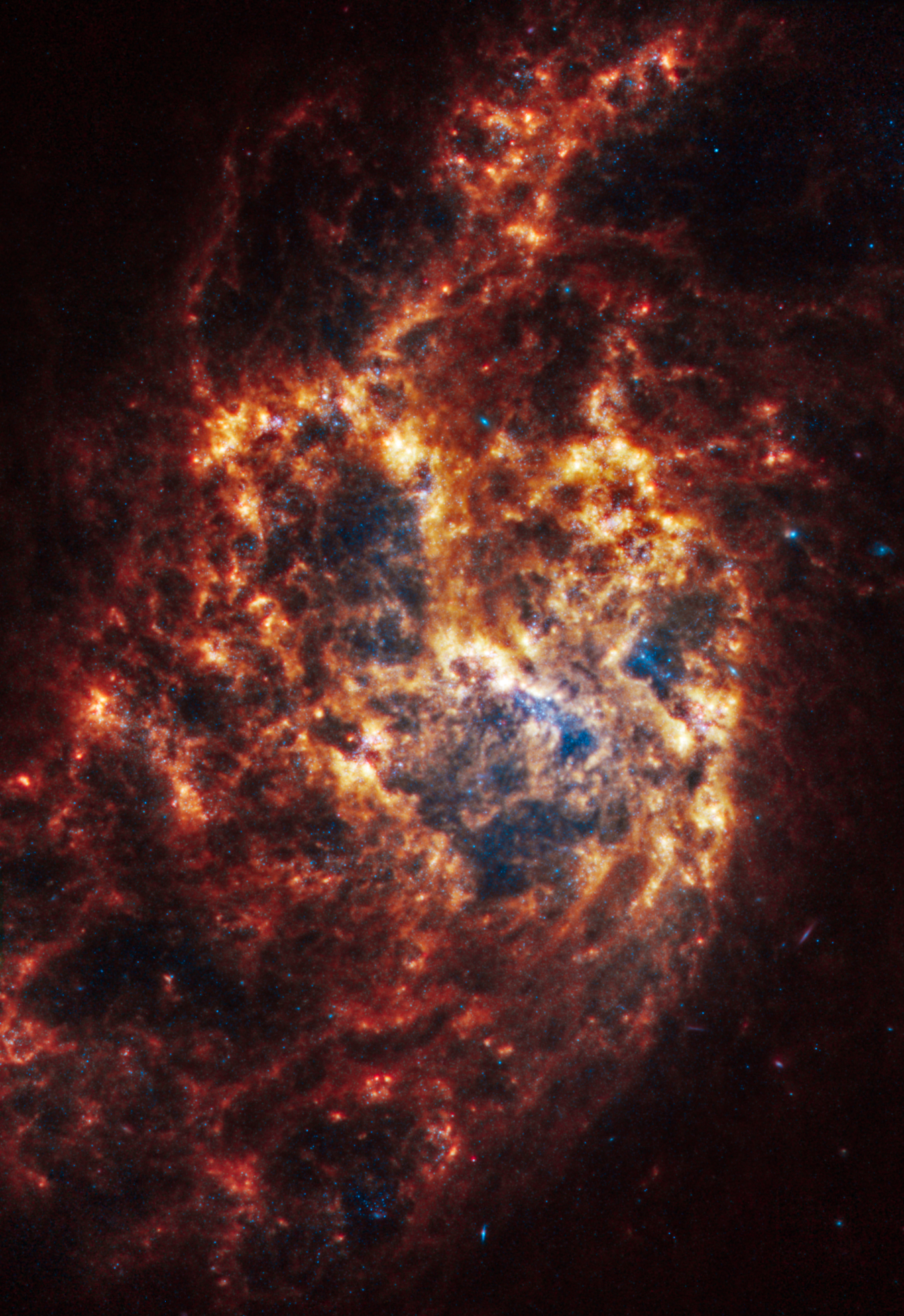 Webb’s image of NGC 1385 shows a messy face-on spiral galaxy with filamentary structures in shades of white, yellow, orange, and red. At the center are some light blue regions.