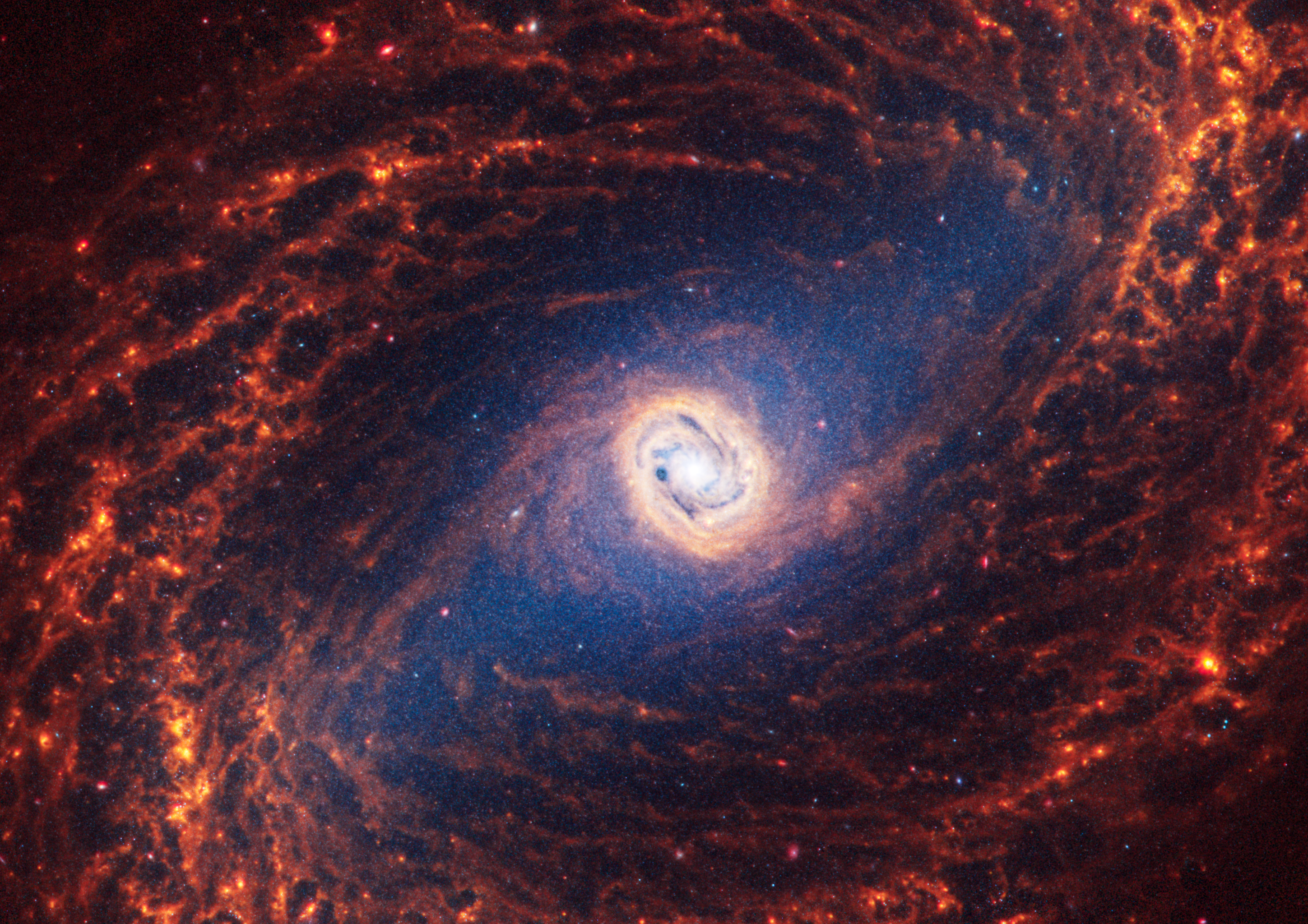 Webb’s image of NGC 1433 shows a face-on barred spiral galaxy anchored by its central region, which is circular and shows a bright white point at the center with a light yellow circle around it. The galaxy has a large bar connected to filamentary spiral orange arms that appear to rotate counterclockwise.