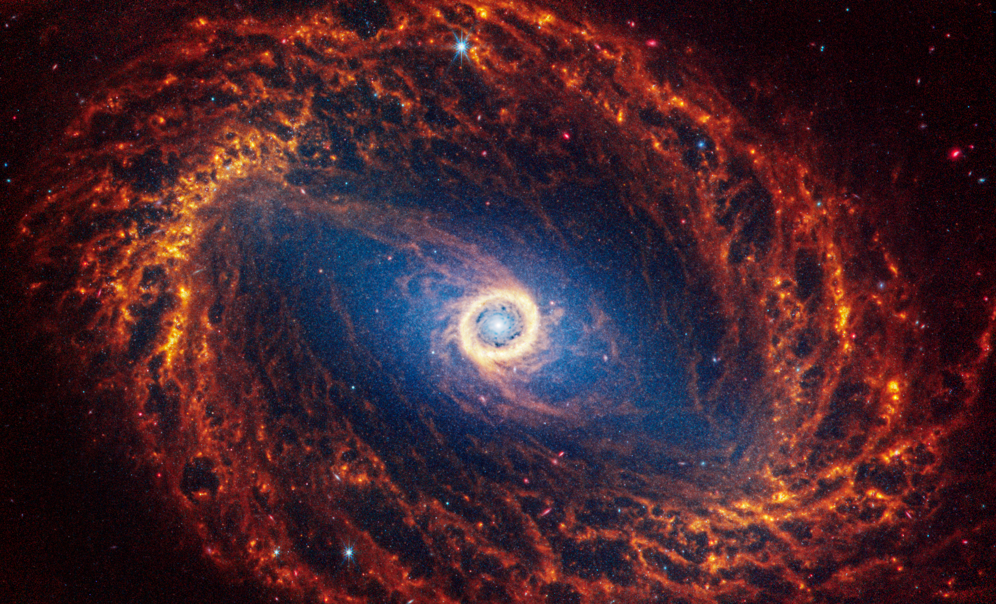 Webb’s image of NGC 1512 shows a face-on barred spiral galaxy anchored by its central region, which is circular and shows a bright white point at the center with blue and yellow circles around it. The galaxy’s large bar is crossed by filamentary dust lanes that extend diagonally to the top left and bottom right. The bar is connected to a dense oval-shaped ring of orange spiral arms that start at the edges of the bar.
