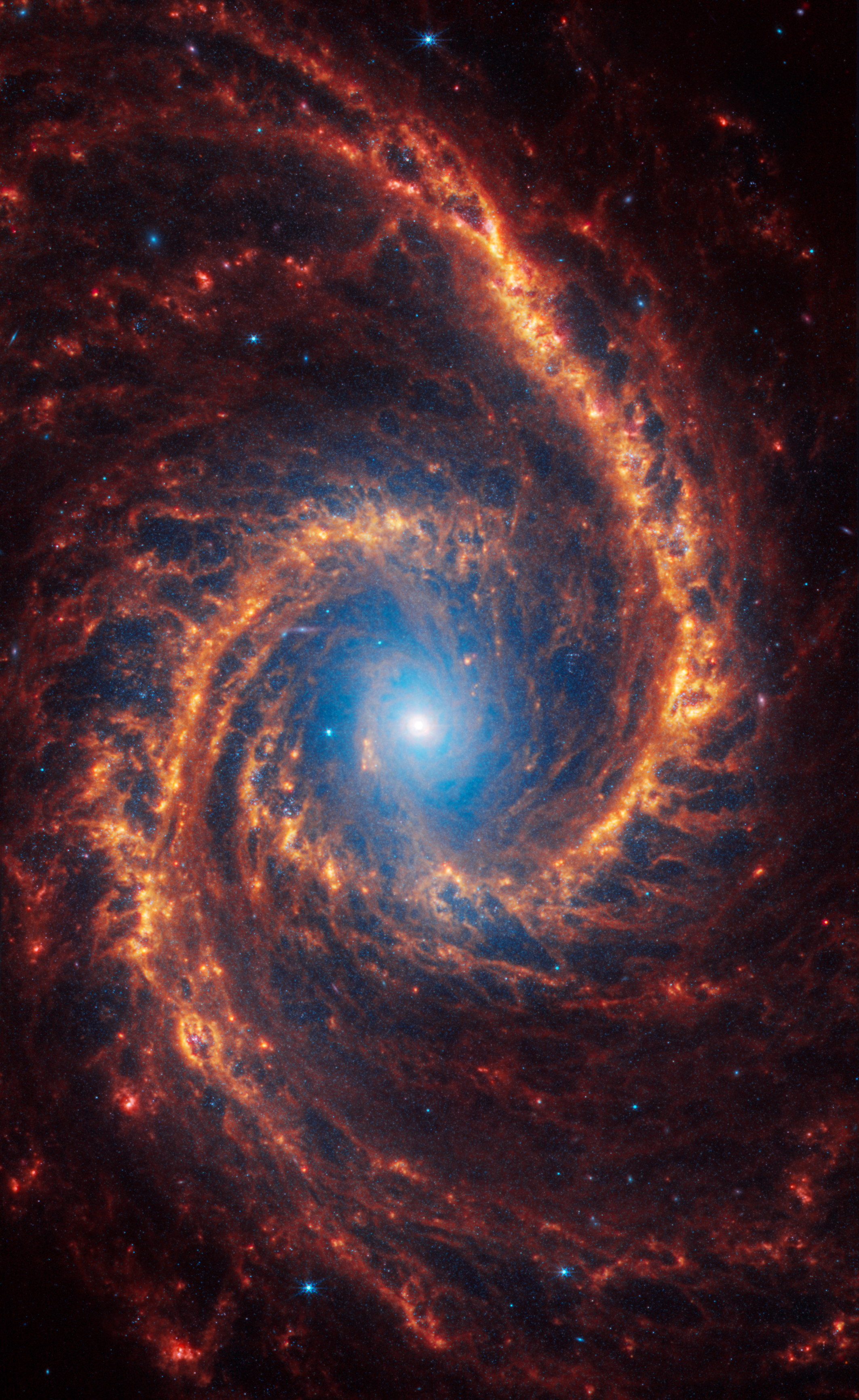 Webb’s image of NGC 1566 shows a densely populated face-on spiral galaxy anchored by a central region that has a light blue haze surrounding it. Two prominent spiny spiral orange arms extend to the edges and rotate counterclockwise.