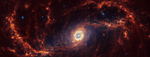 Webb’s image of NGC 1672 shows a portion of a densely populated face-on spiral galaxy anchored by a central core and bar structure made of filamentary dust lanes and a light blue haze of stars, just below center. Two spiny spiral orange arms extend from the bar to the edges and rotate clockwise.