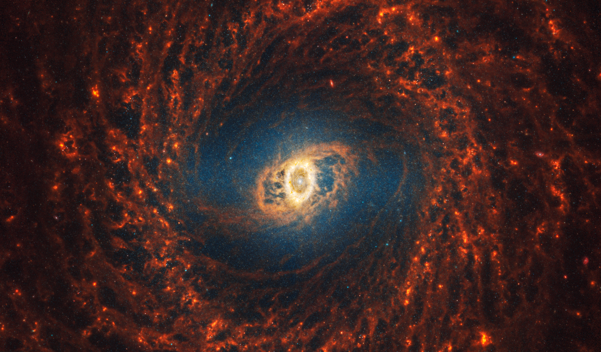 Webb’s image of NGC 3351 shows a face-on barred spiral galaxy anchored by its central region, which is oval and shows a bright white point at the center with darker and lighter yellow ovals around it. The galaxy’s filamentary spiral orange arms rotate clockwise and form a wide circular structure at the outer edges.
